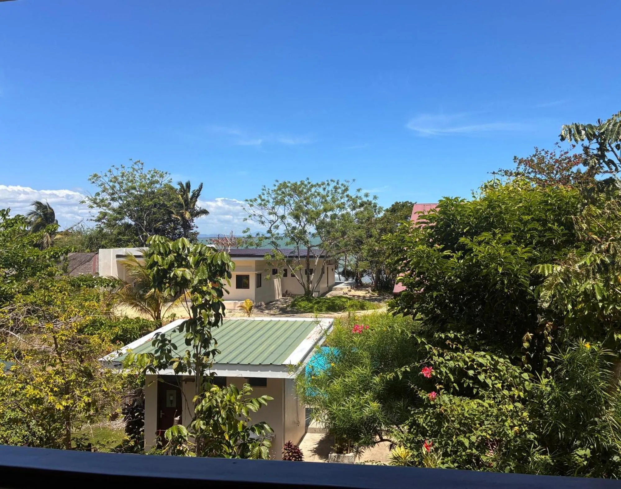 Garden view in The Lazy Tiki