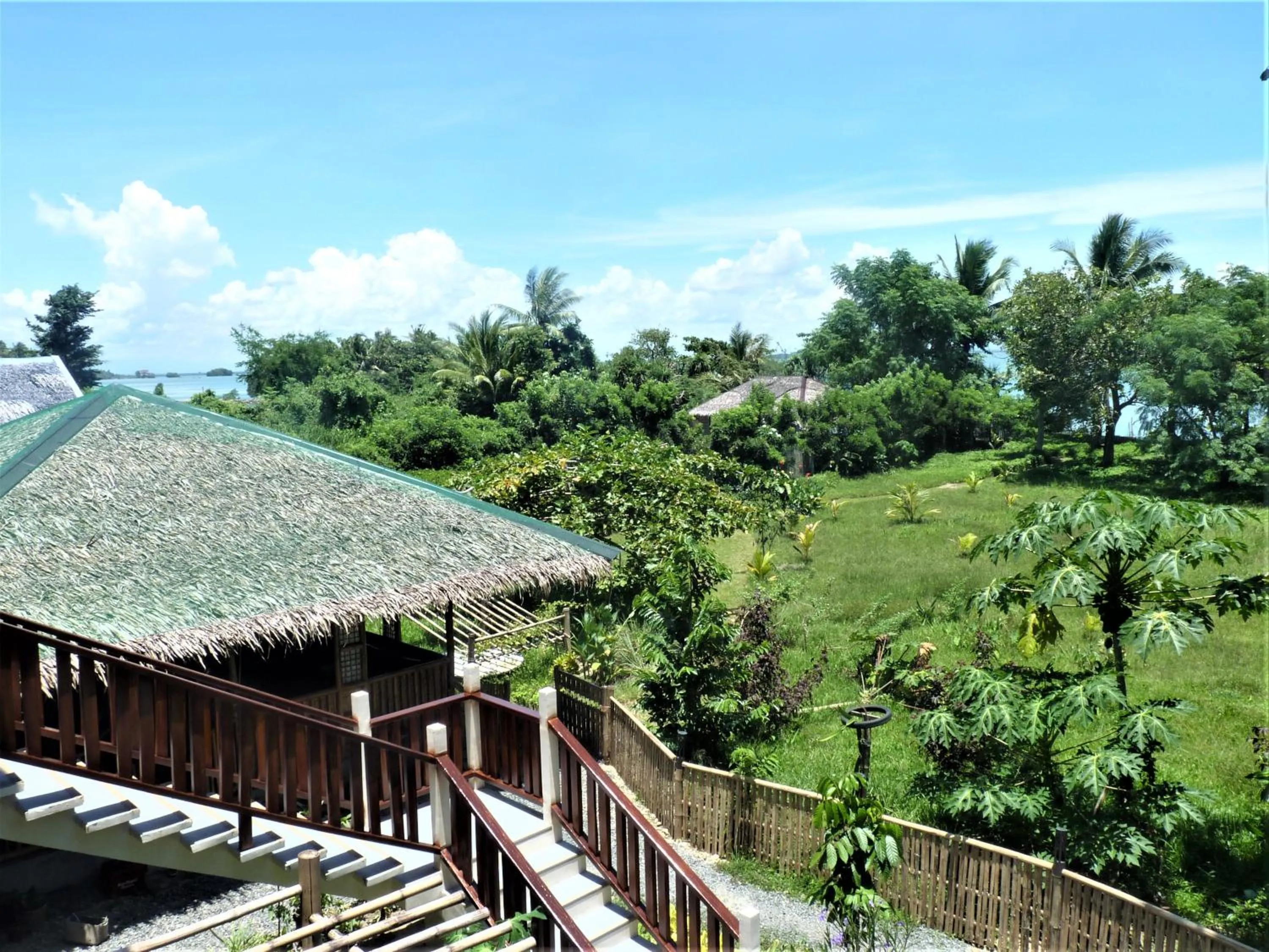 Day in The Lazy Tiki