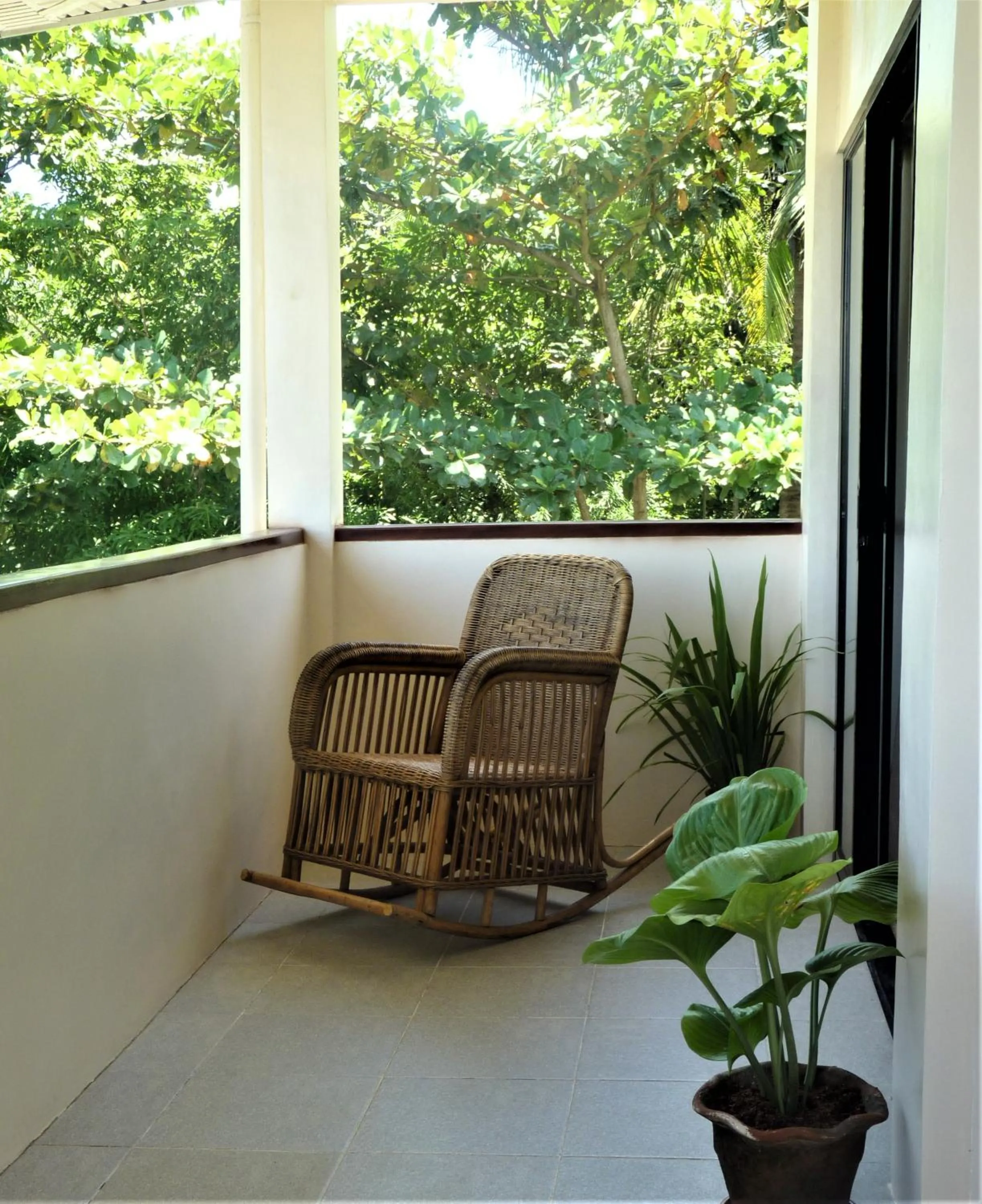 Balcony/Terrace in The Lazy Tiki