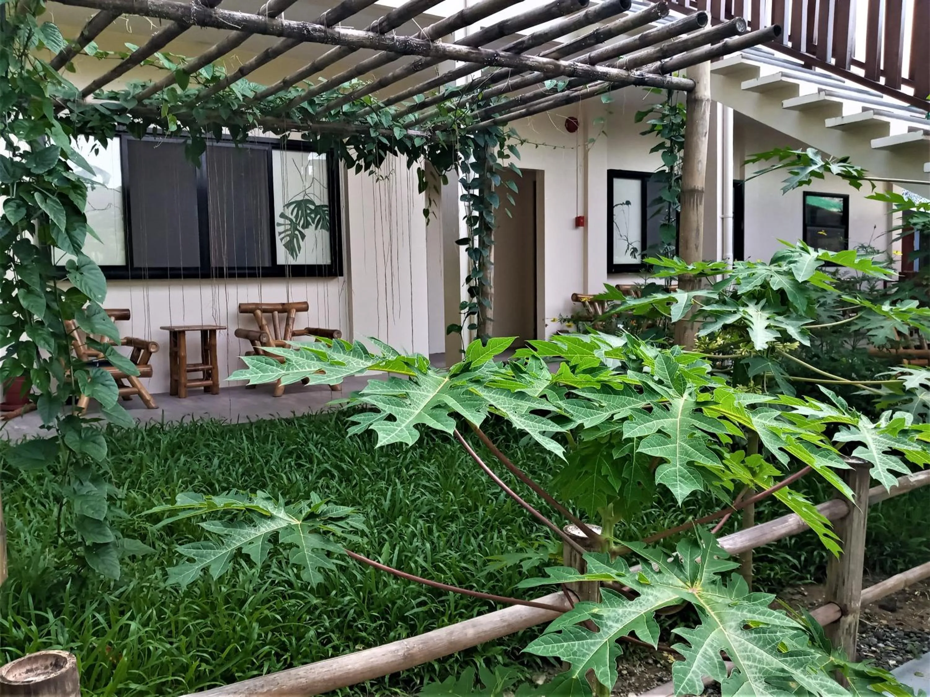 Garden in The Lazy Tiki