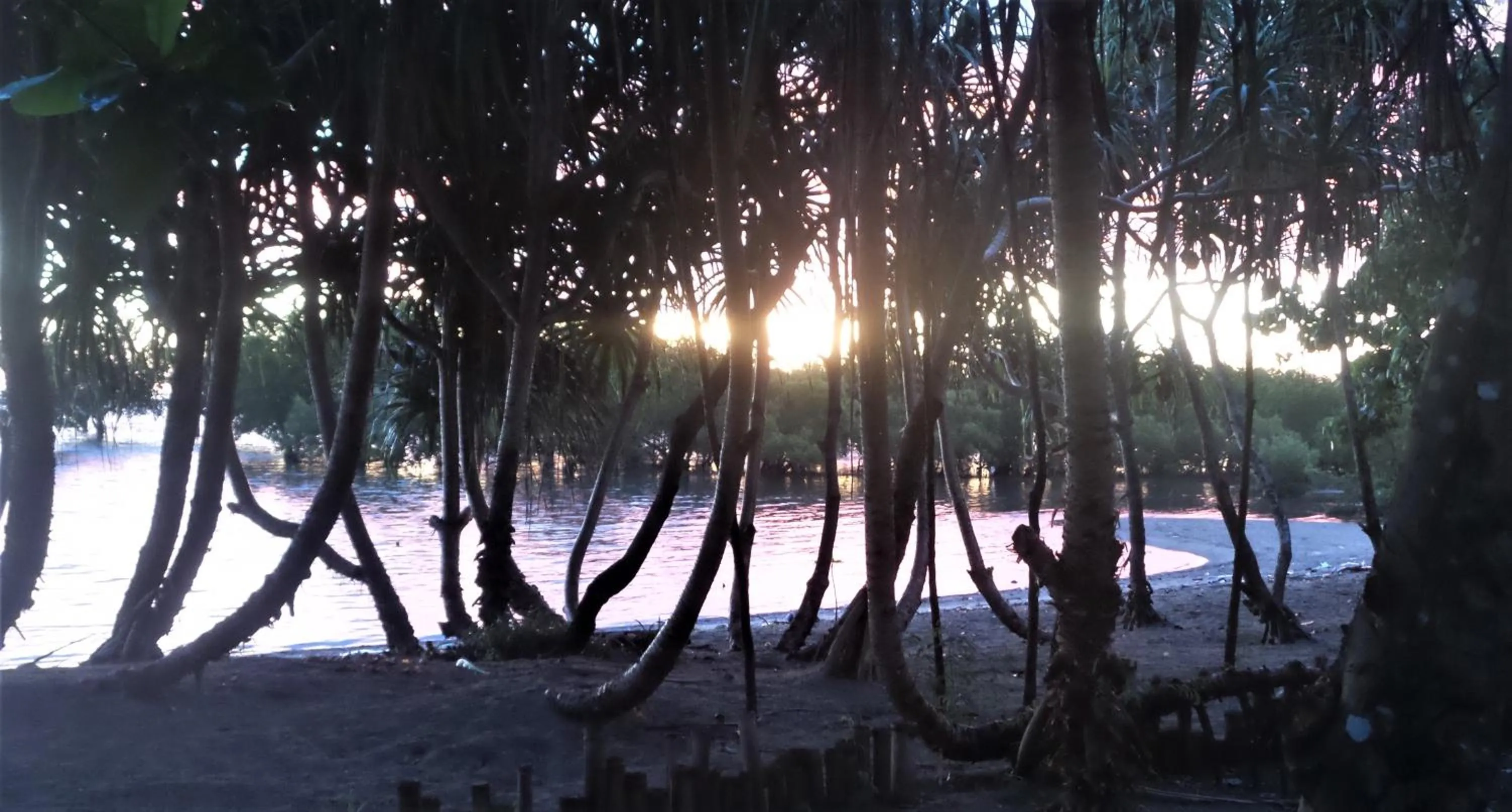 Sunrise in The Lazy Tiki