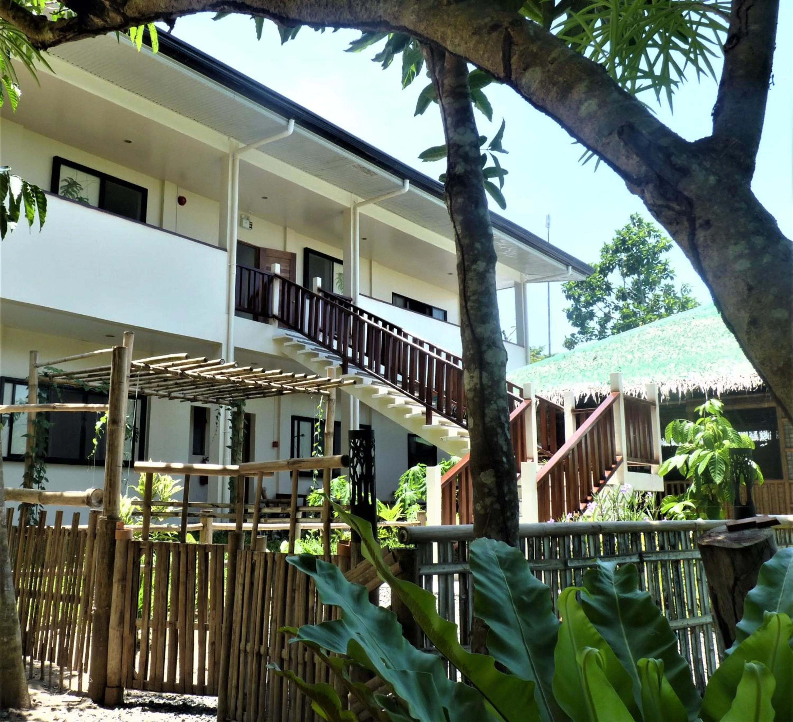 Garden in The Lazy Tiki