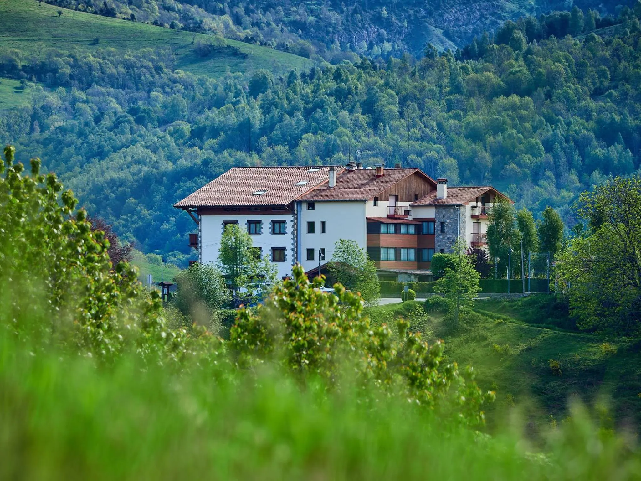 Property building in Hotel Calitxo