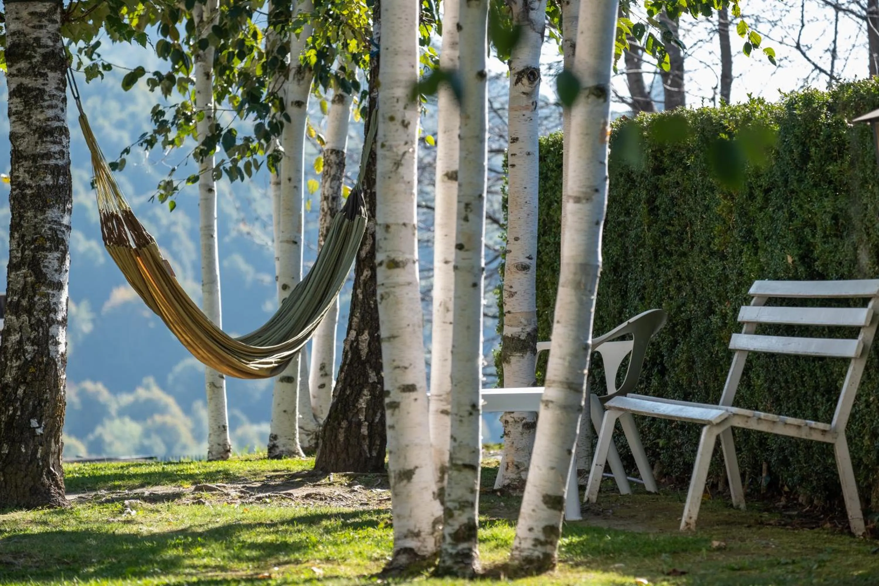 Natural landscape in Hotel Calitxo