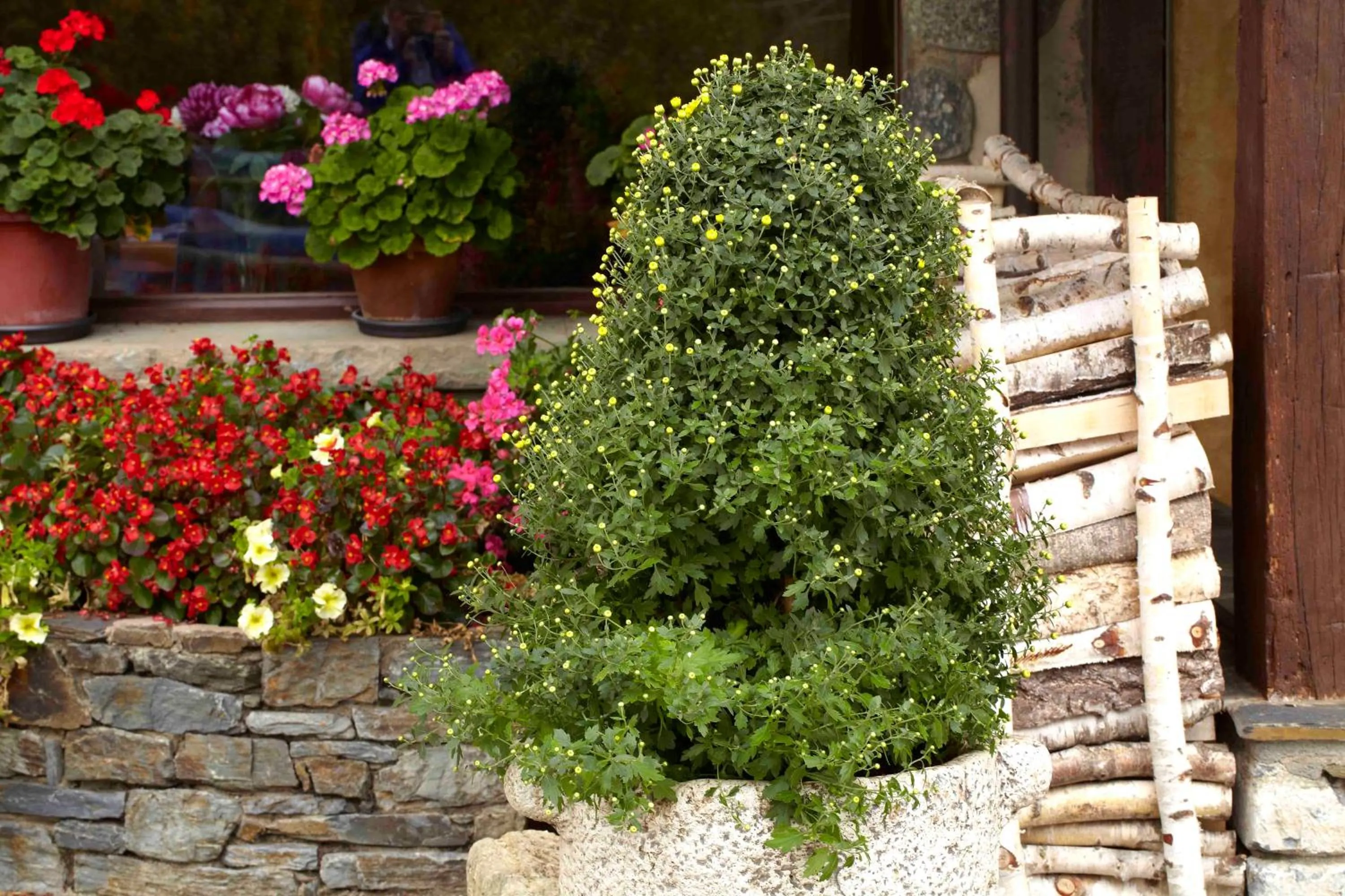 Garden in Hotel Calitxo