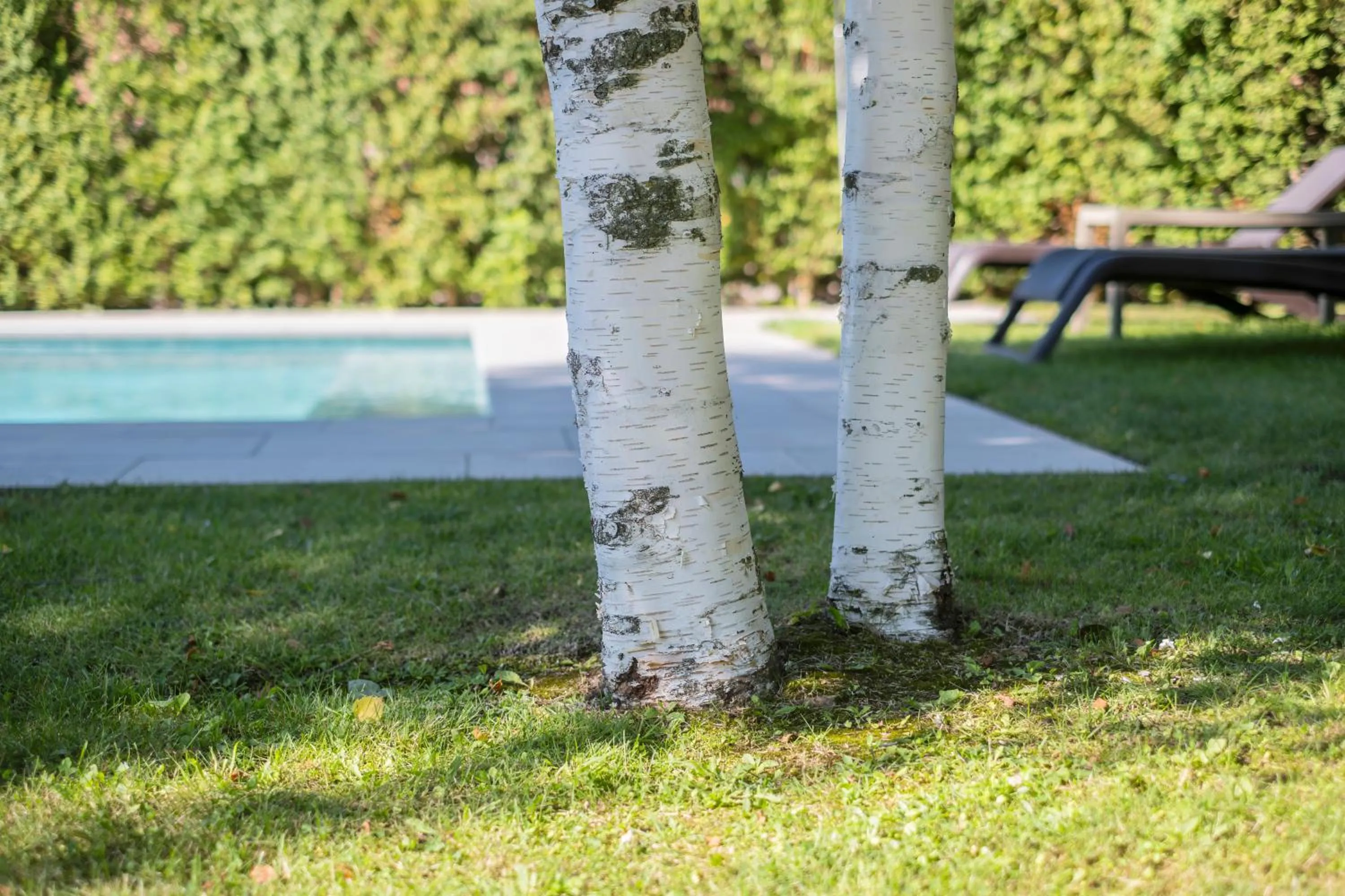 Swimming pool in Hotel Calitxo