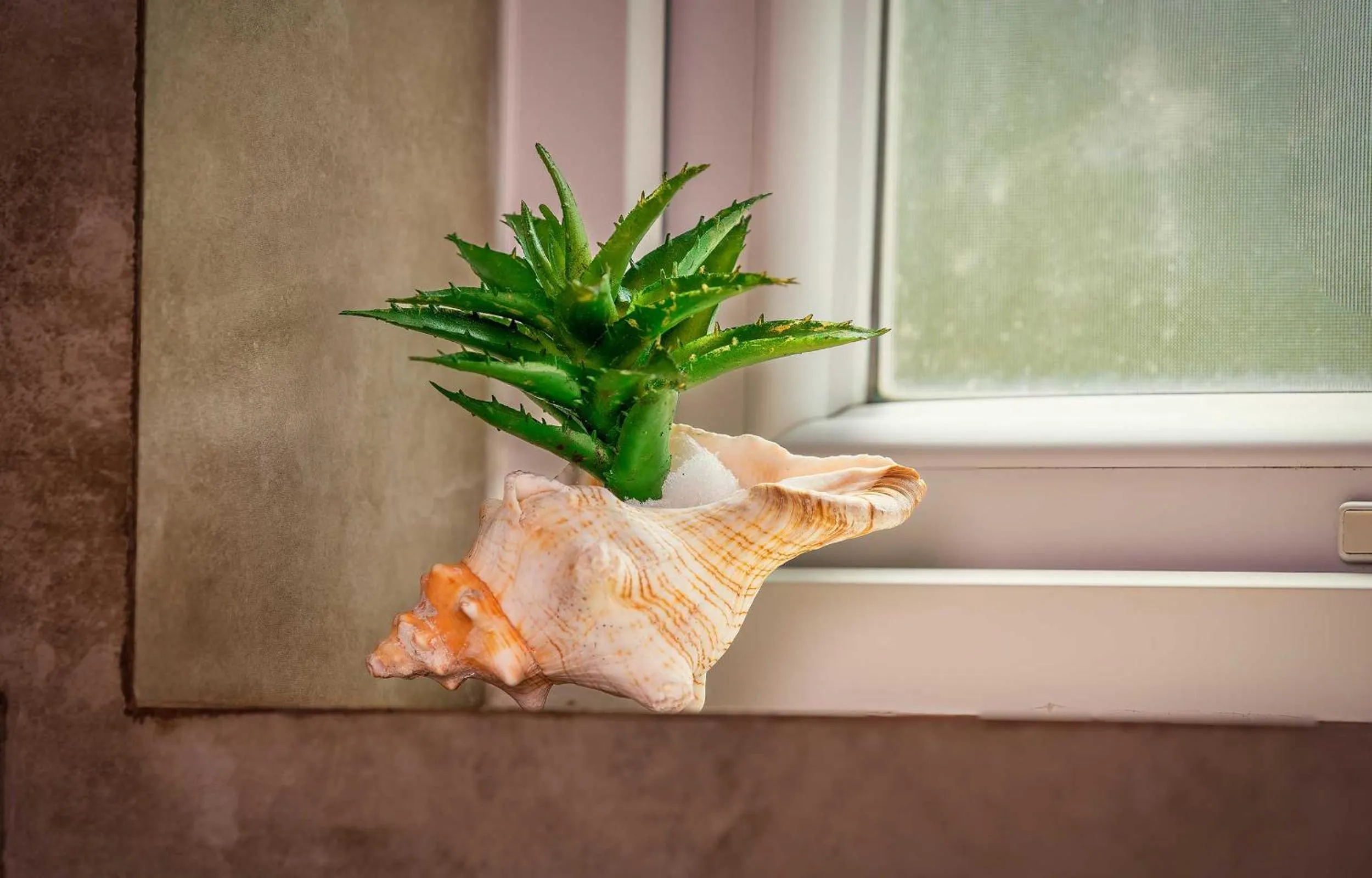 Bathroom in The Palace by Ocean