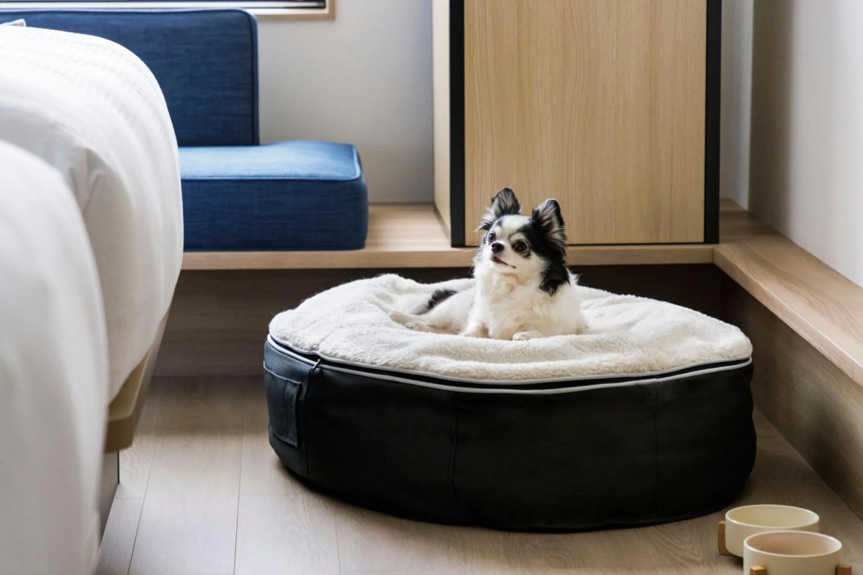 Photo of the whole room in Fairfield by Marriott Hiroshima Sera