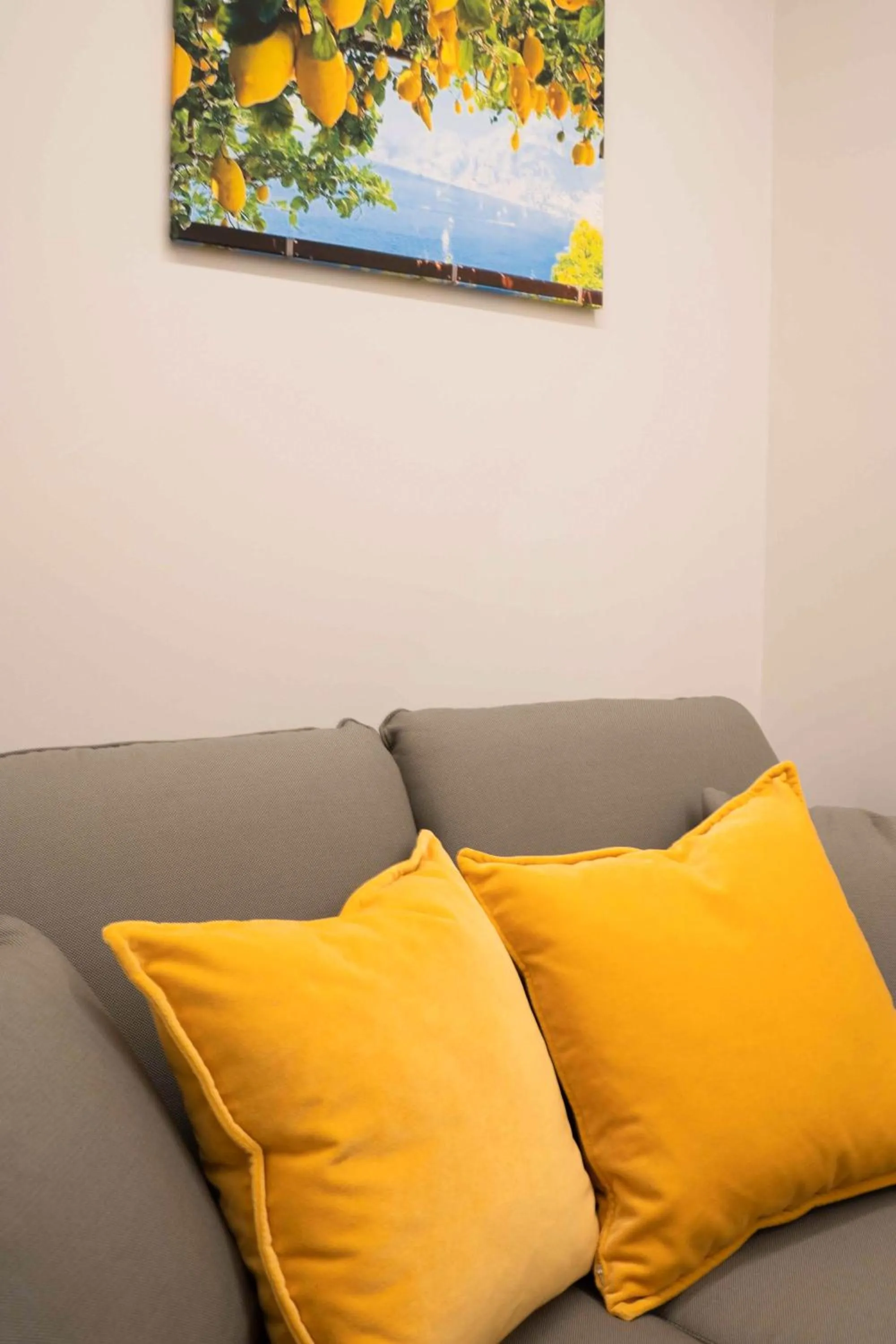 Decorative detail in Terranova49