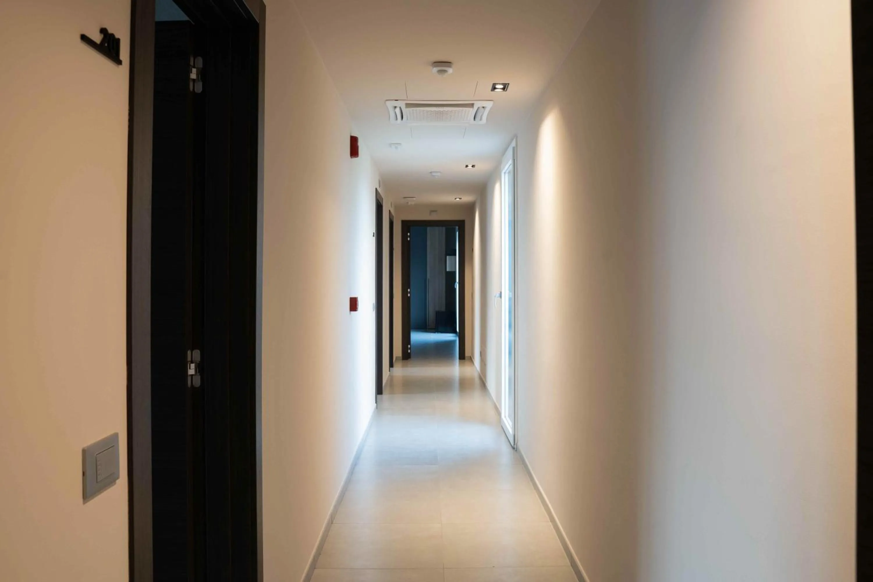 Decorative detail in Terranova49