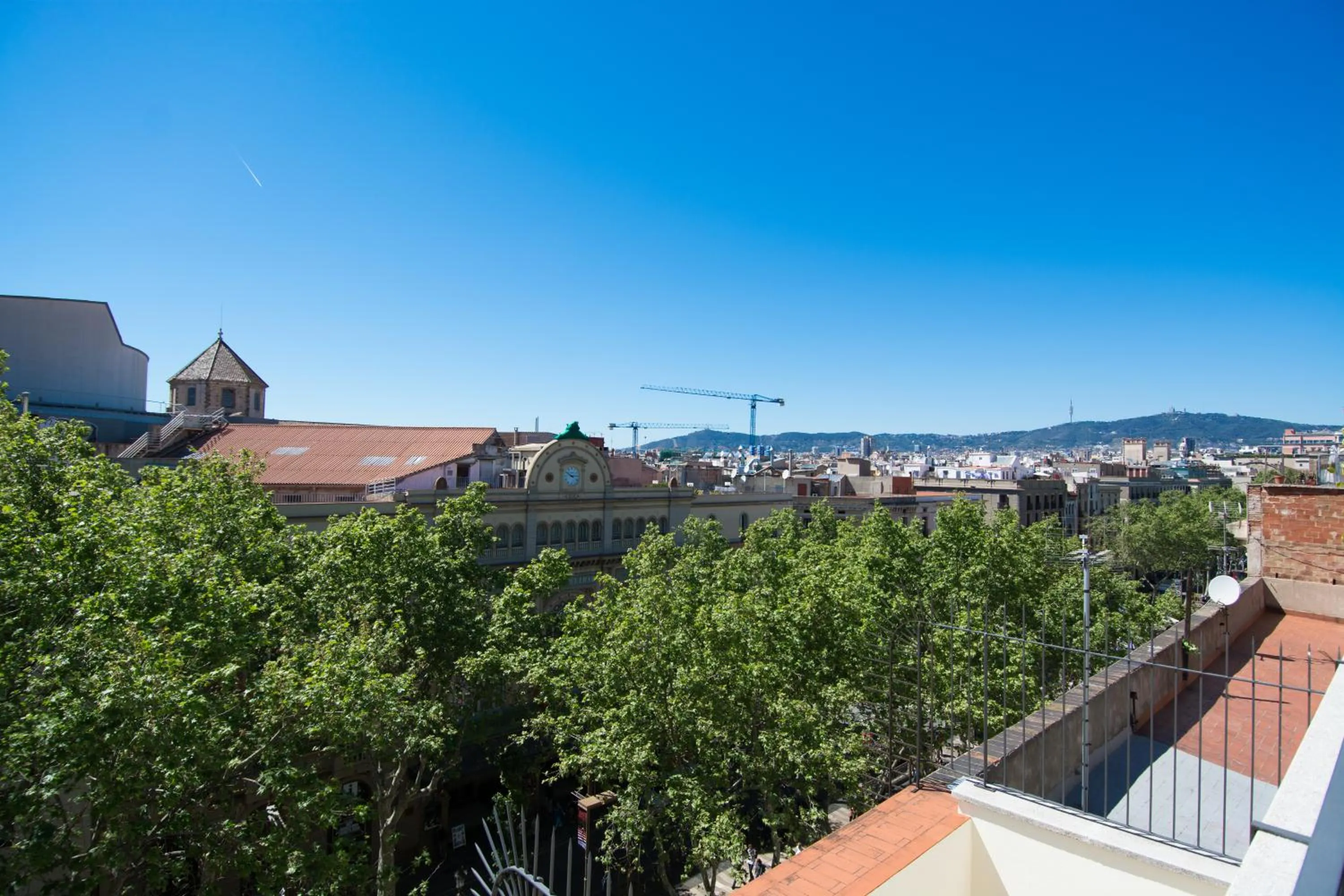 View (from property/room) in Flor Parks