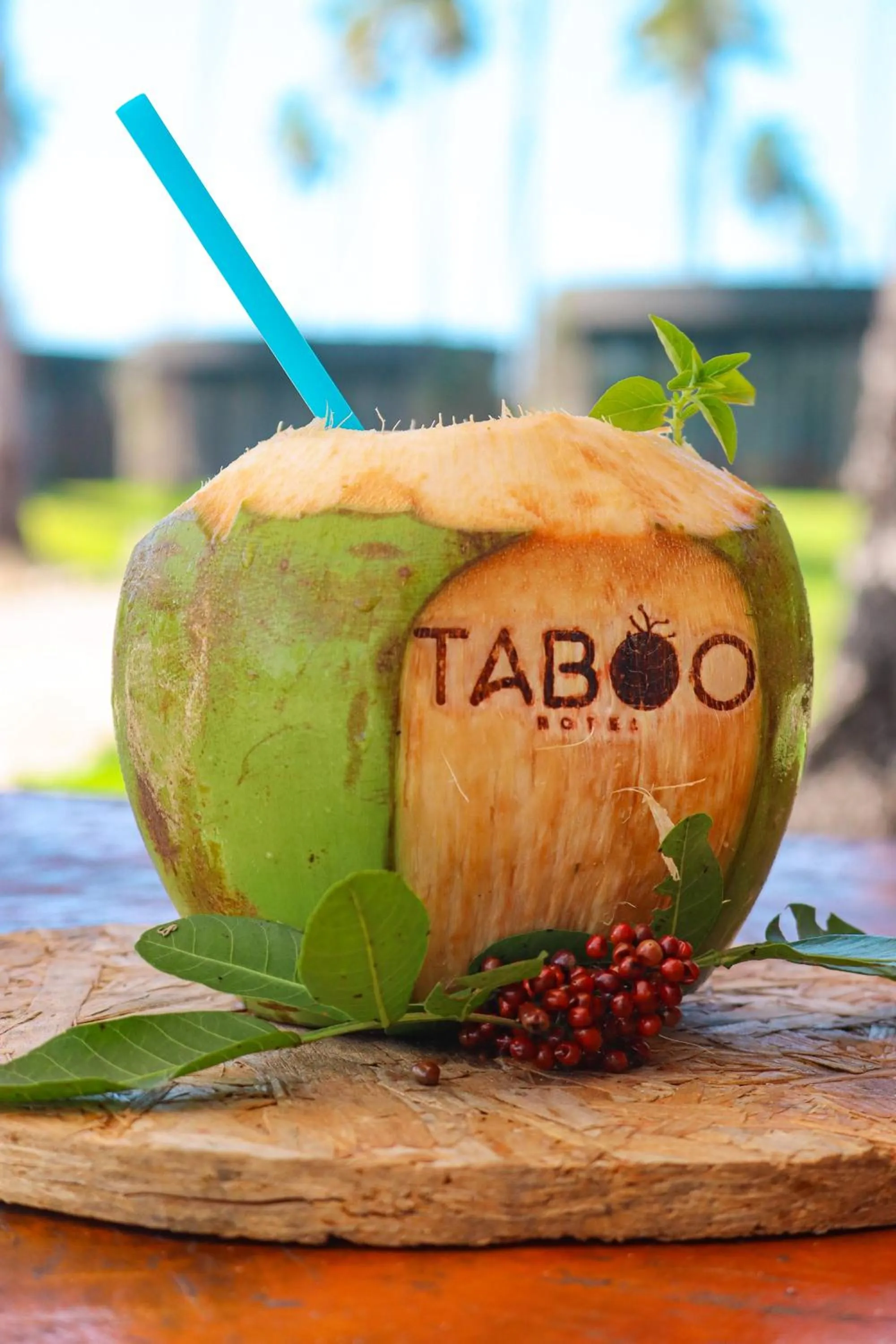 Property logo or sign in Taboo Milagres