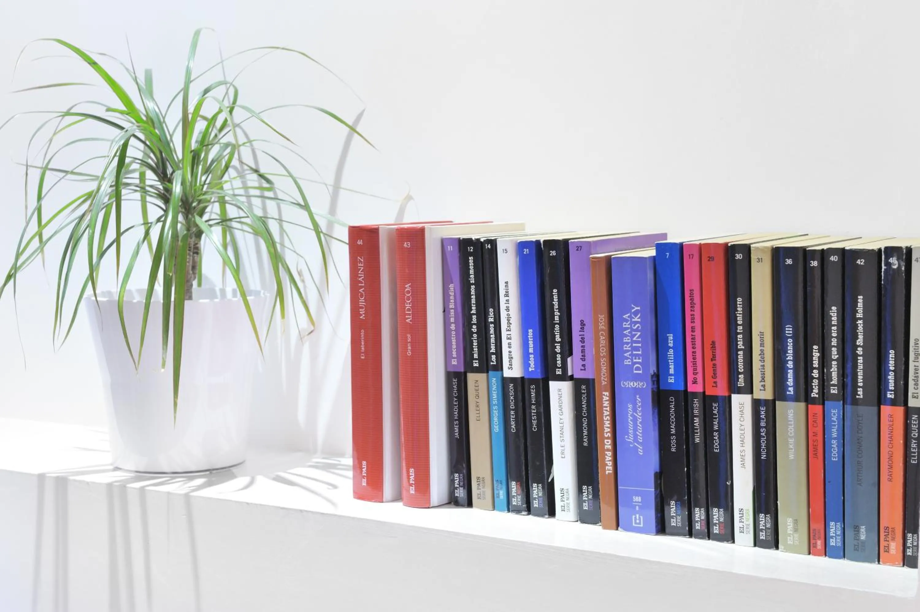 Library in Hotel Nochendi