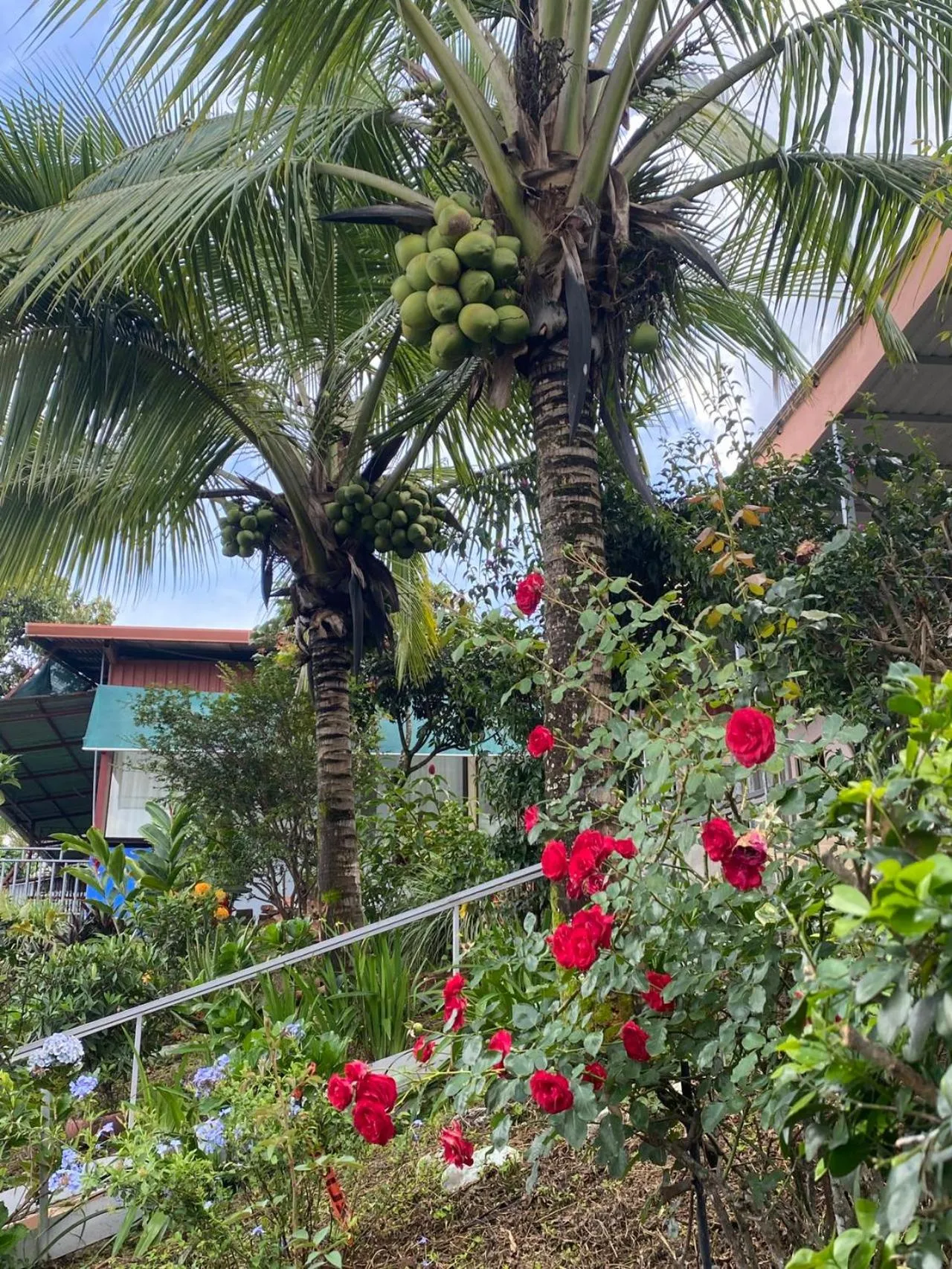 Property building in Villa Garita Inn