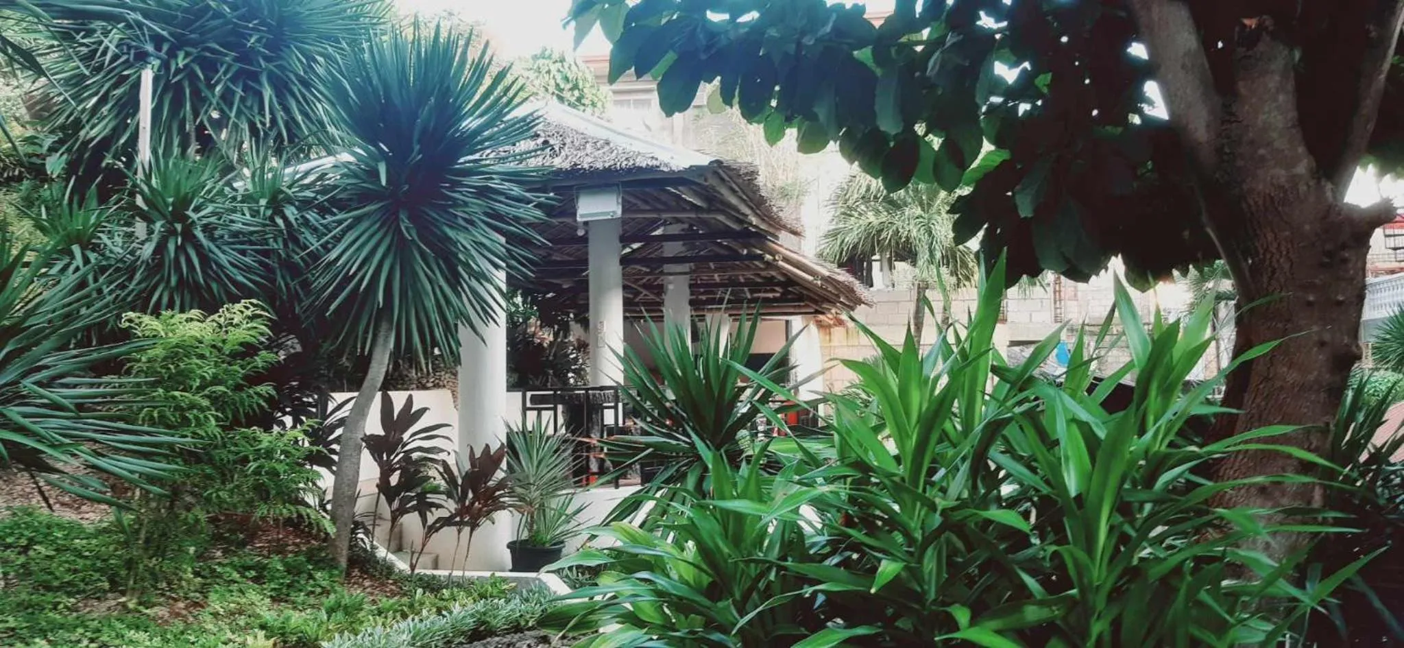 Dining area in Avana Hills Boracay Prime Grand Suite 202