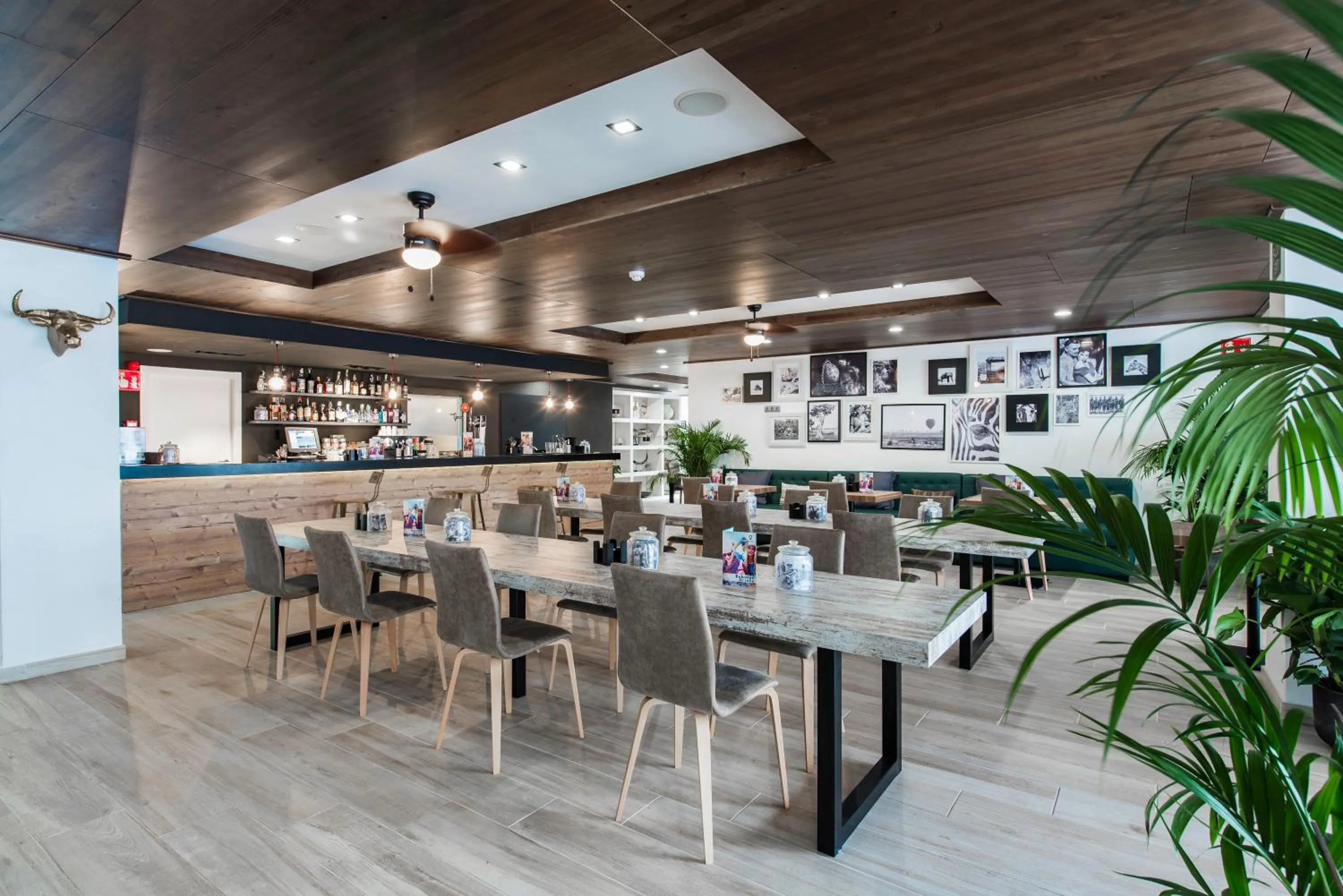 Lobby or reception in Aparthotel Vibra Mogambo - Adults only