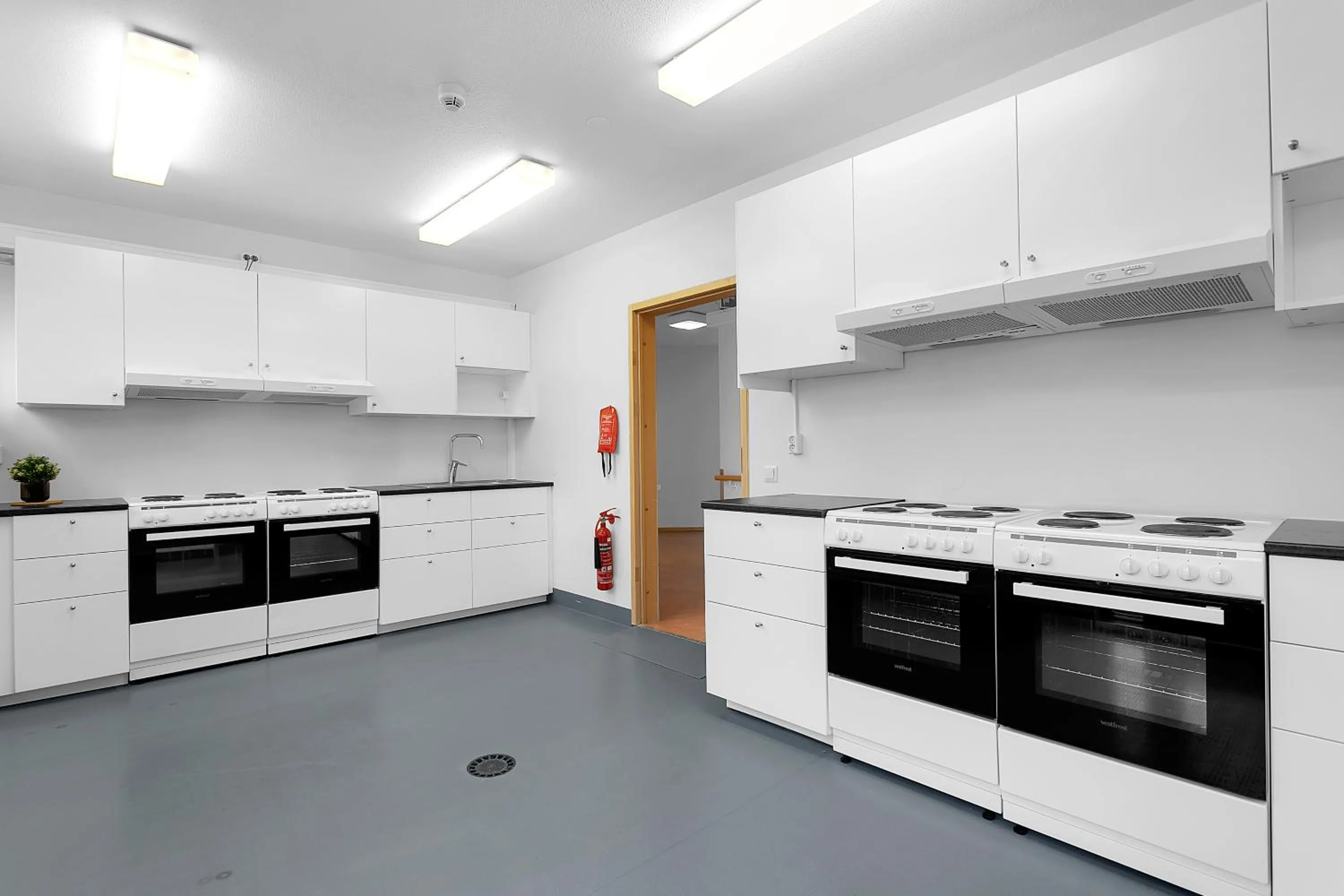 Kitchen or kitchenette in Víðines Guesthouse