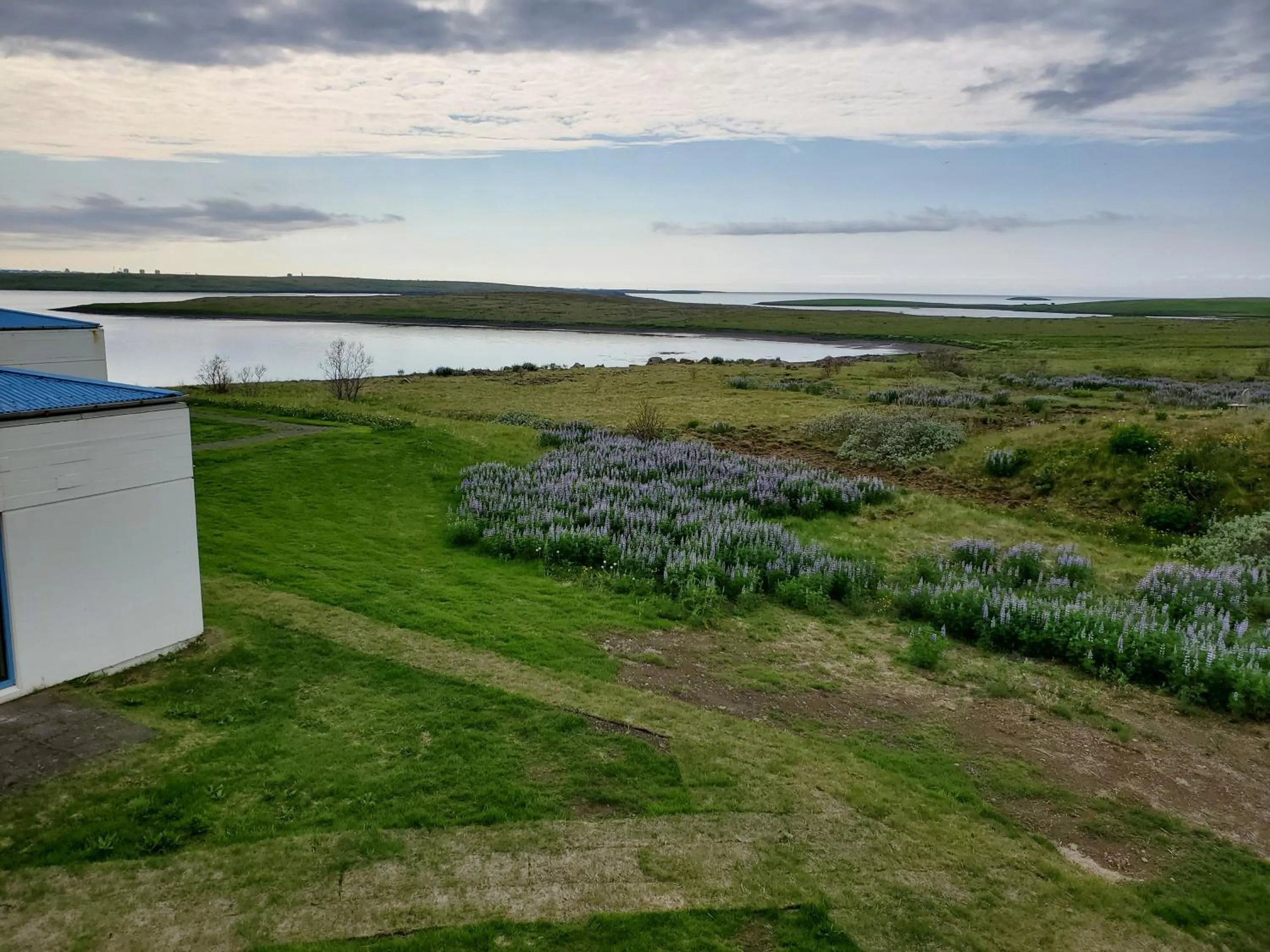Spring in Víðines Guesthouse
