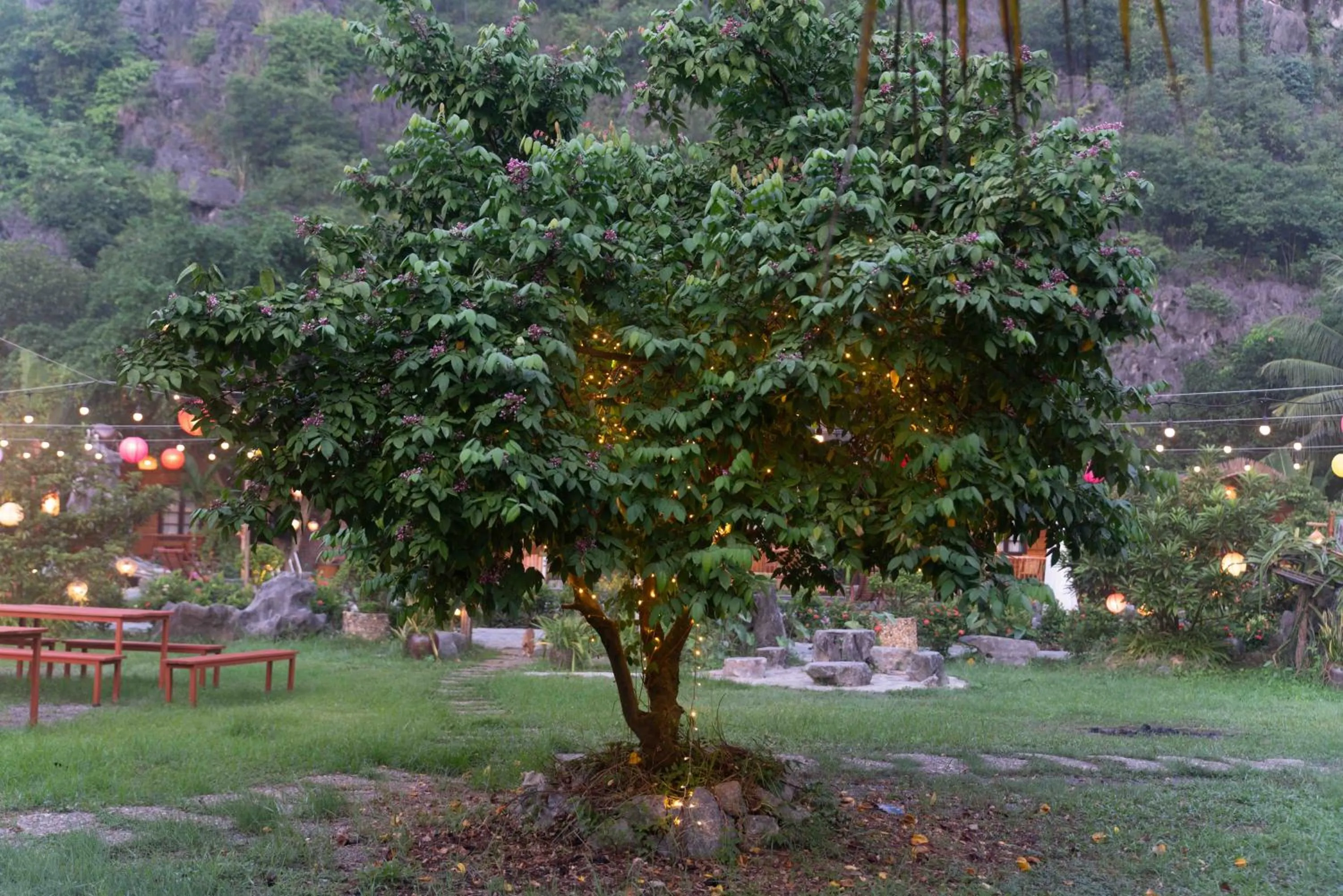 Garden in THE GOAT BOUTIQUE RESORT