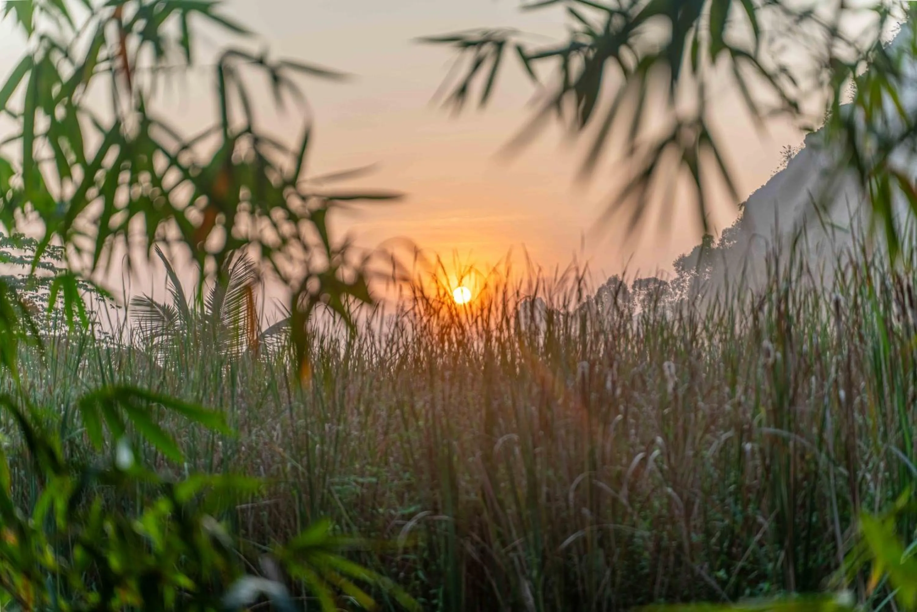 View (from property/room) in THE GOAT BOUTIQUE RESORT