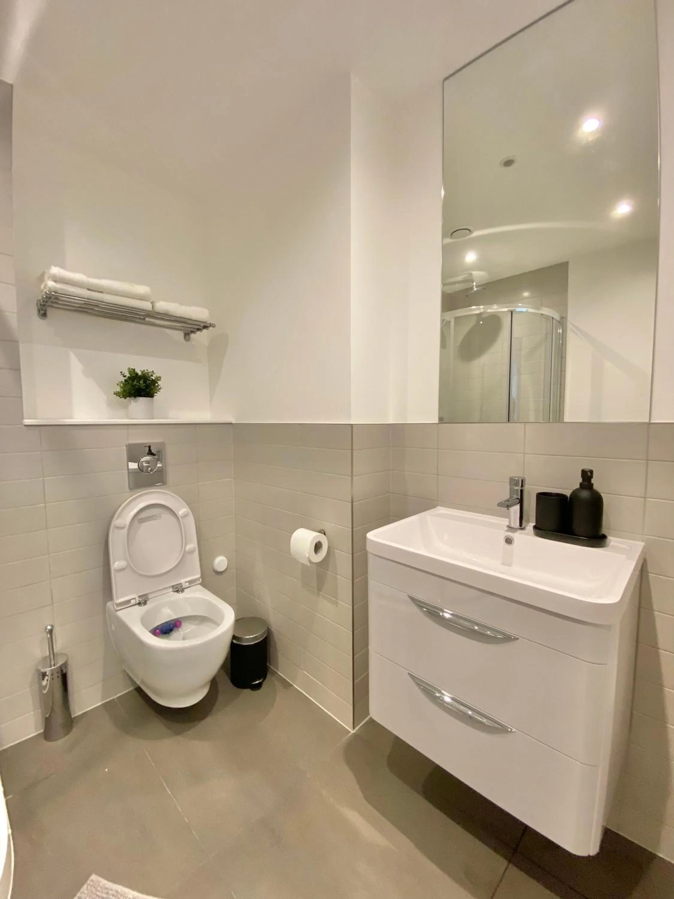 Toilet in Goodwin St