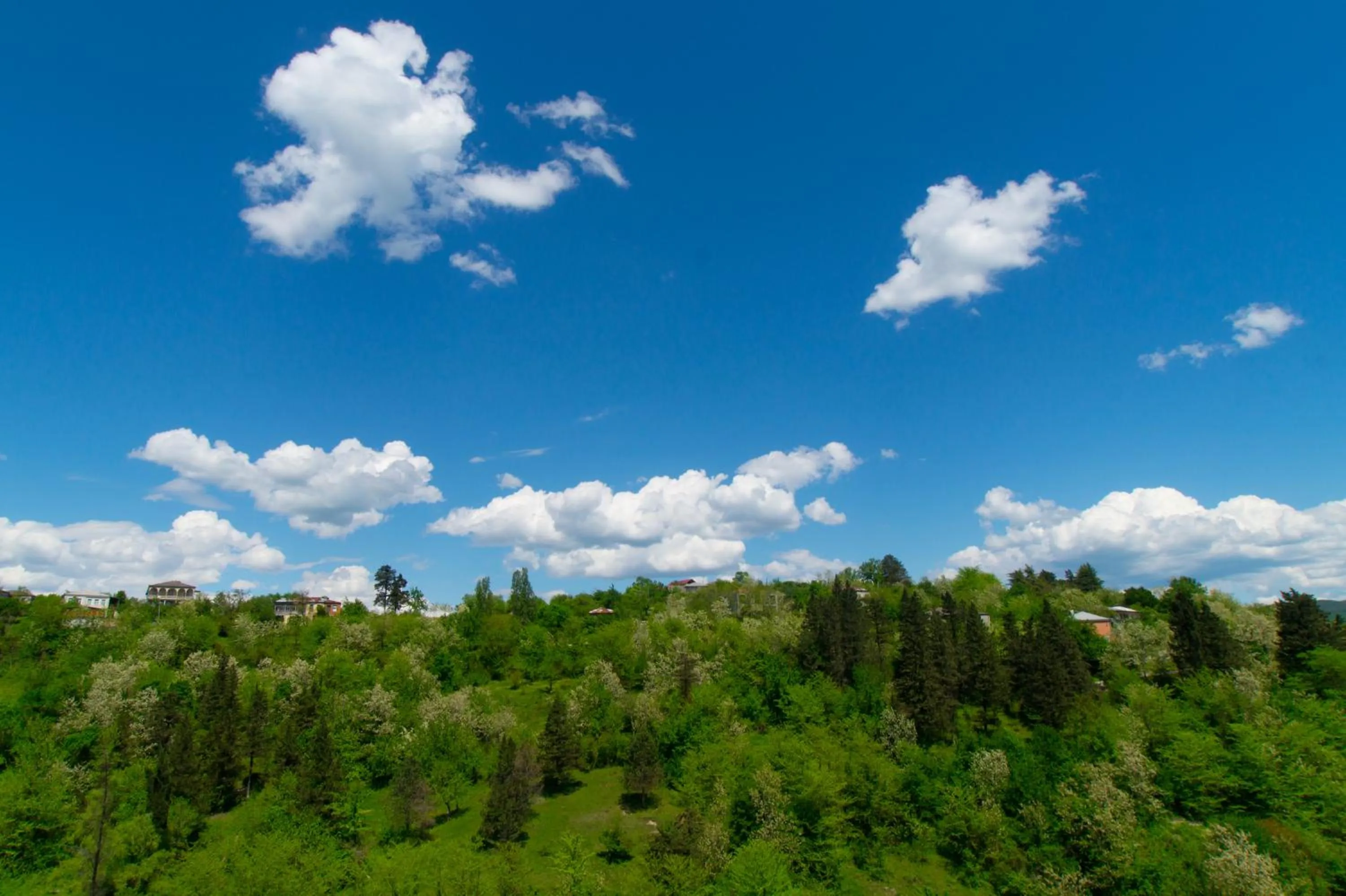 View (from property/room) in Bagrat Guest House