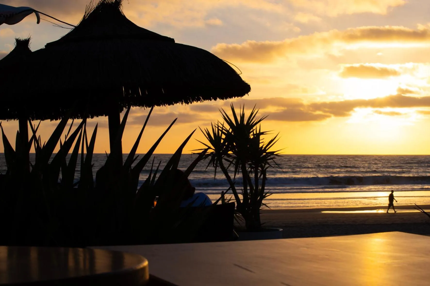 Beach in Hotel Oasis