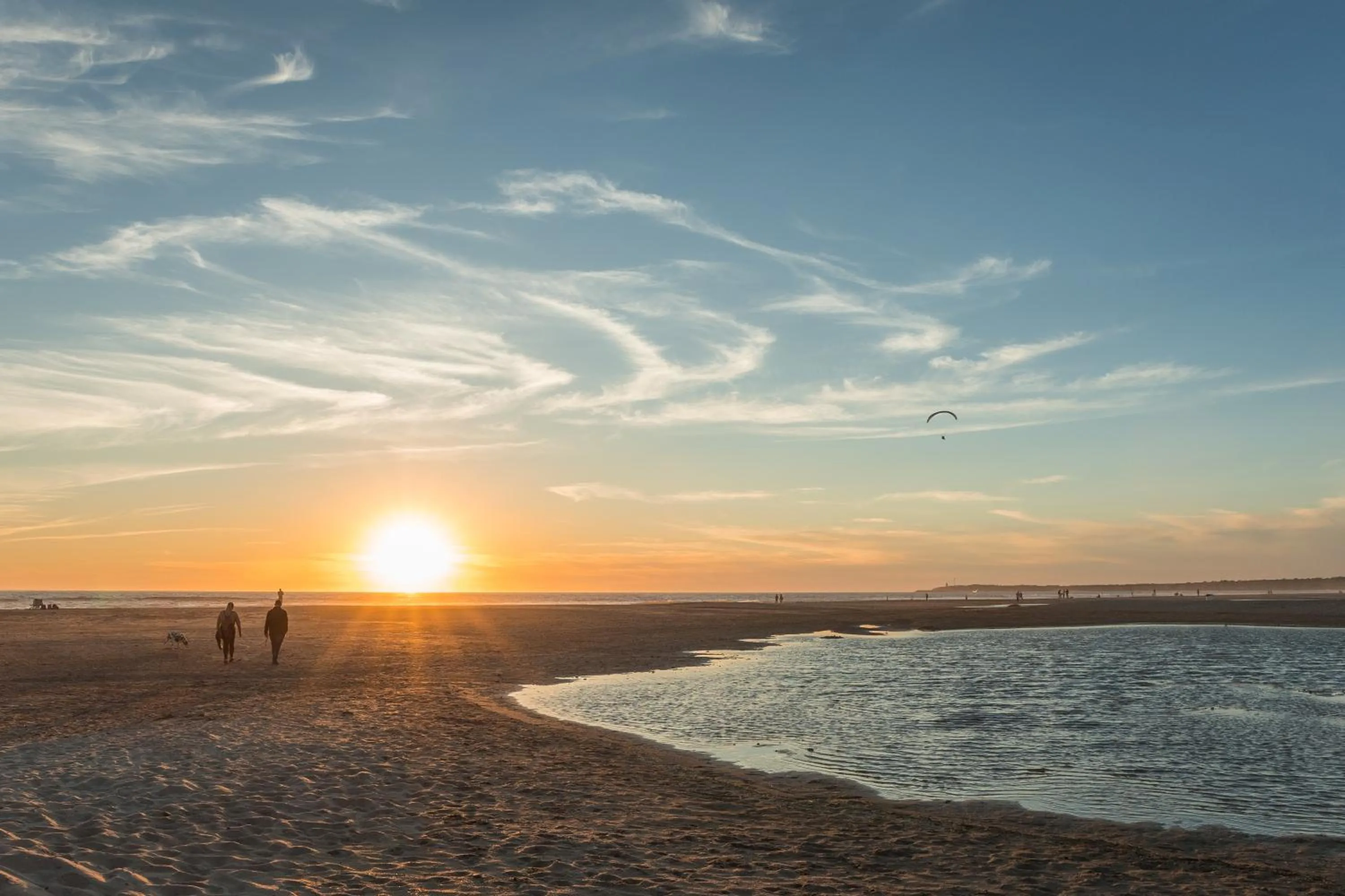 Beach in Hotel Oasis
