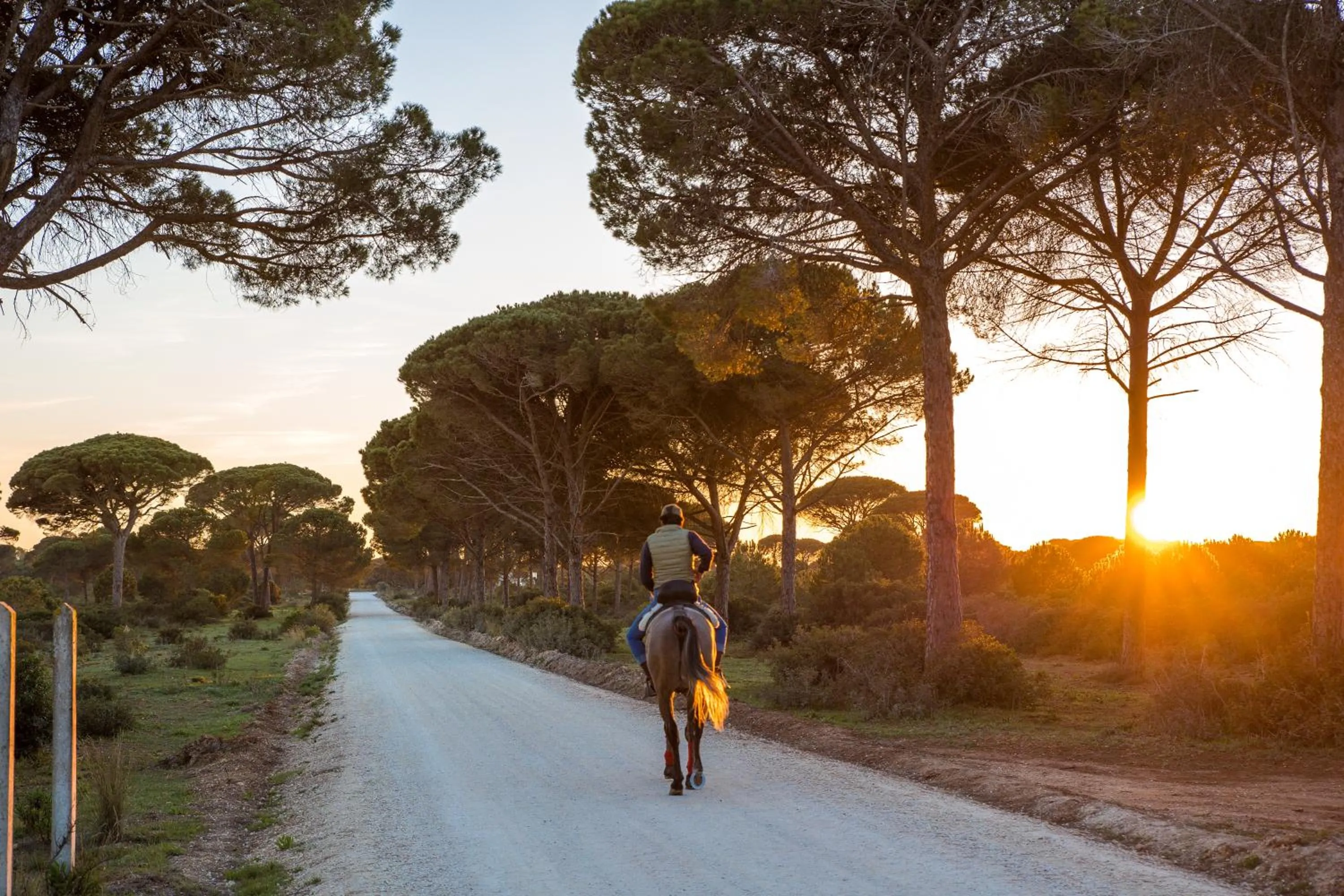 Other in Hotel Oasis