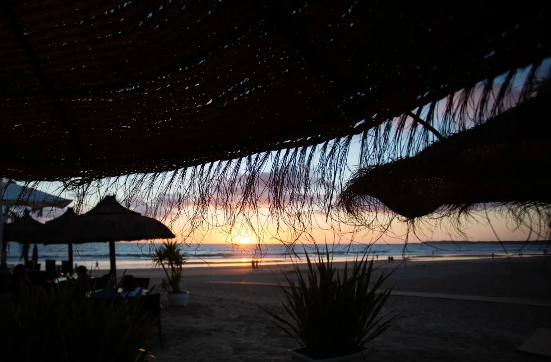 Other in Hotel Oasis