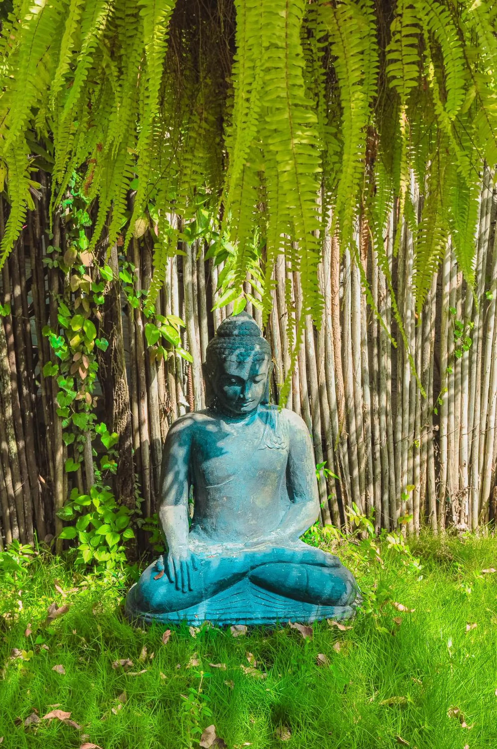 HOTEL RENASCI PALOMINO