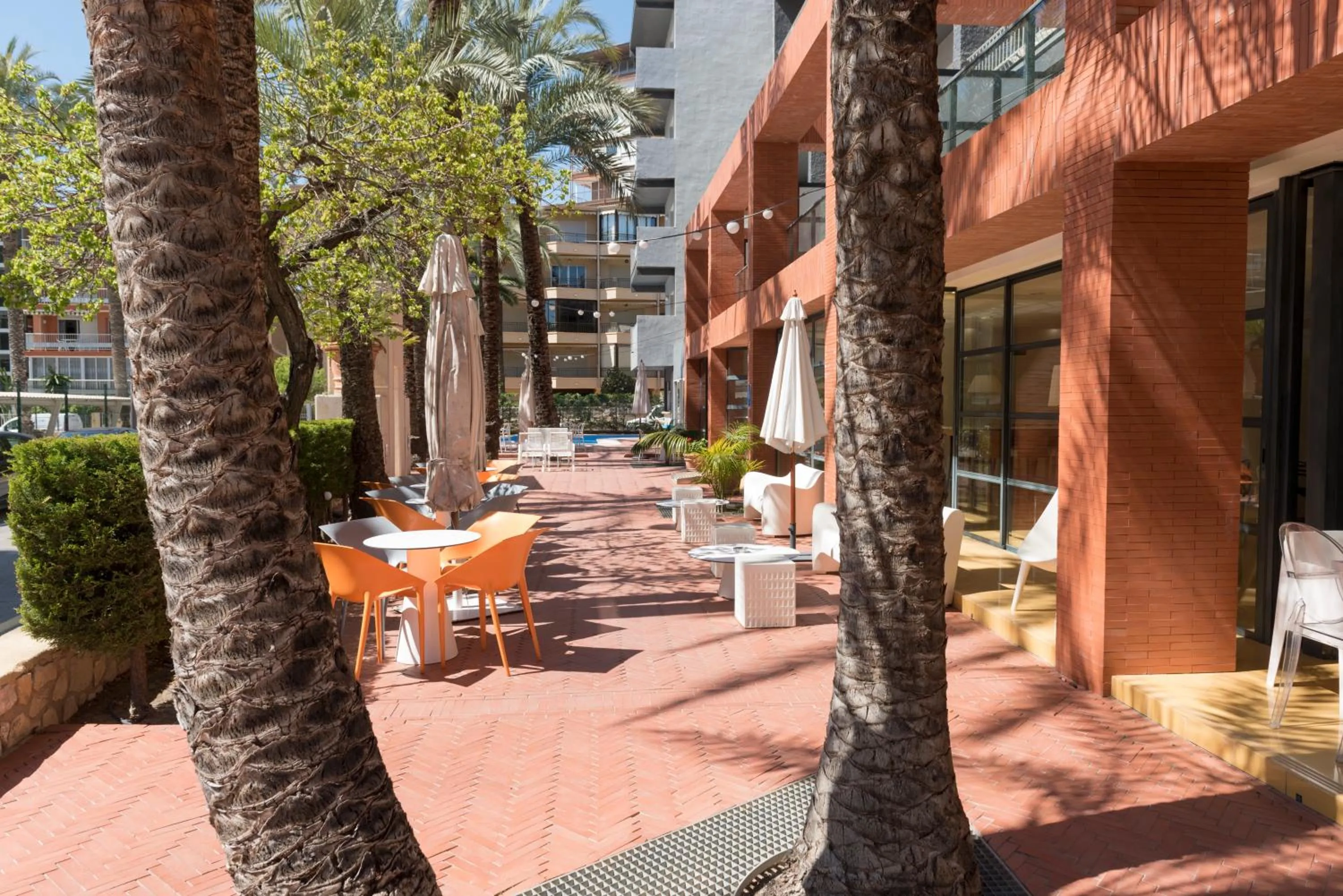 Garden in Hotel El Palmeral