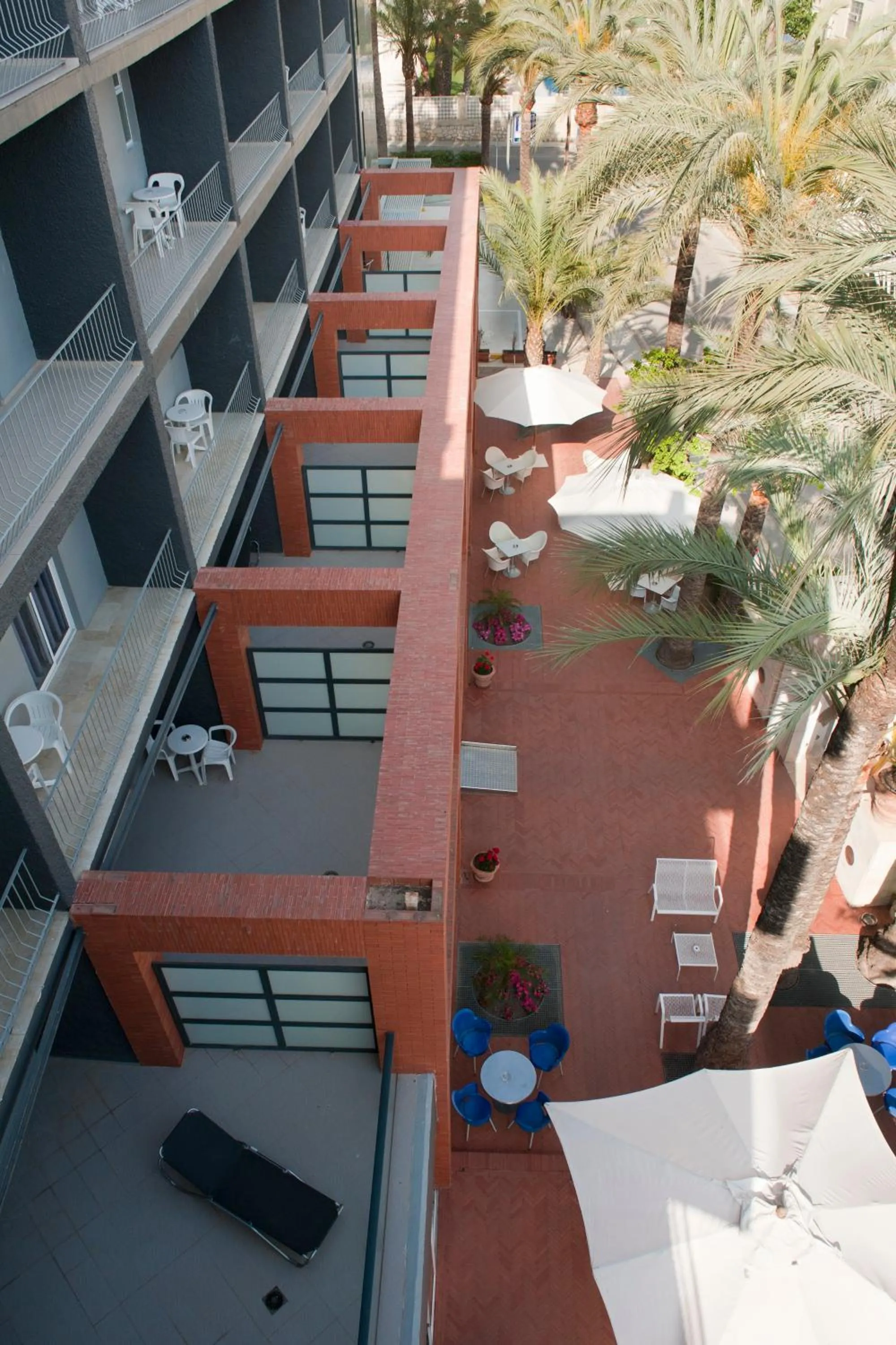 Facade/entrance in Hotel El Palmeral