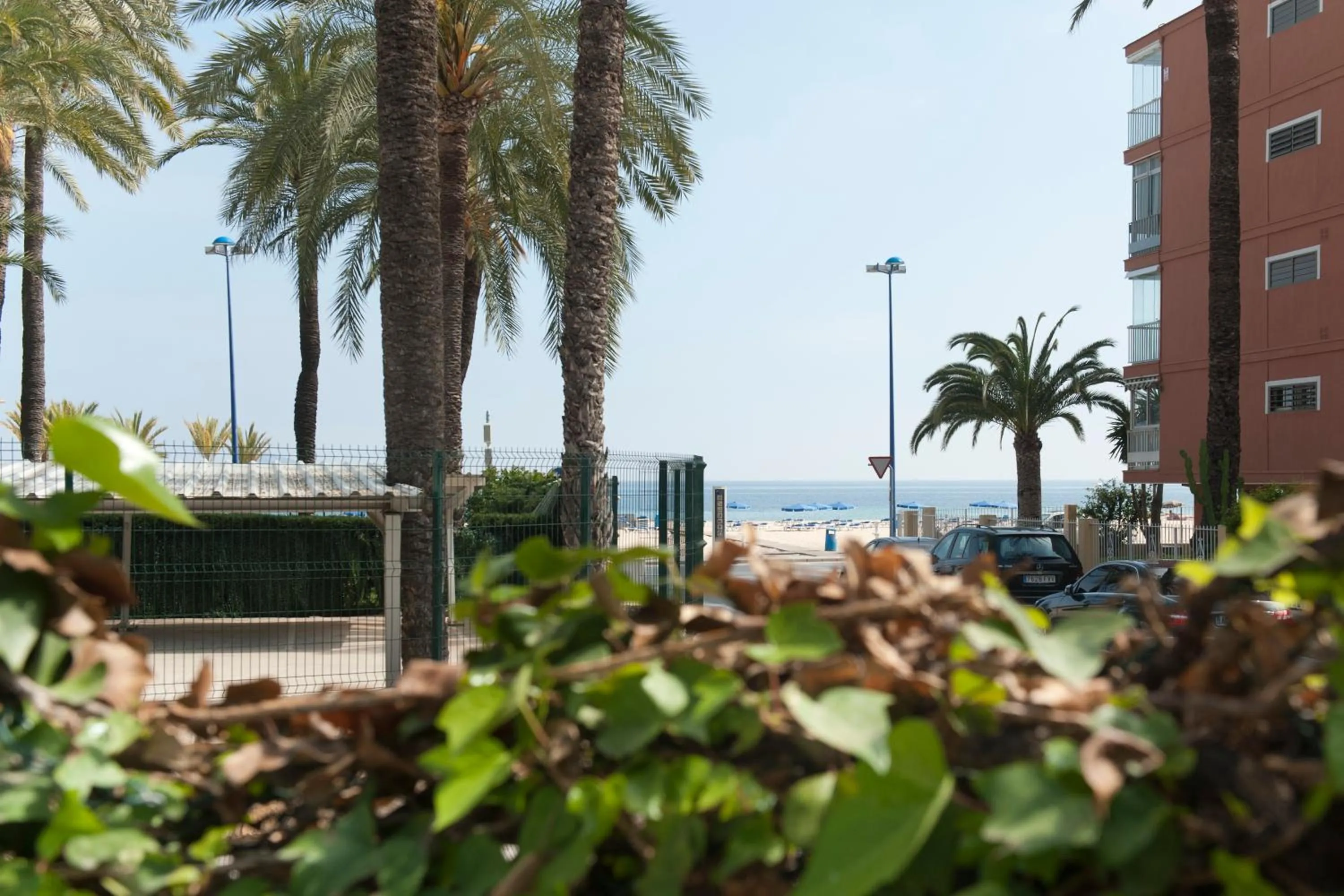 Facade/entrance in Hotel El Palmeral