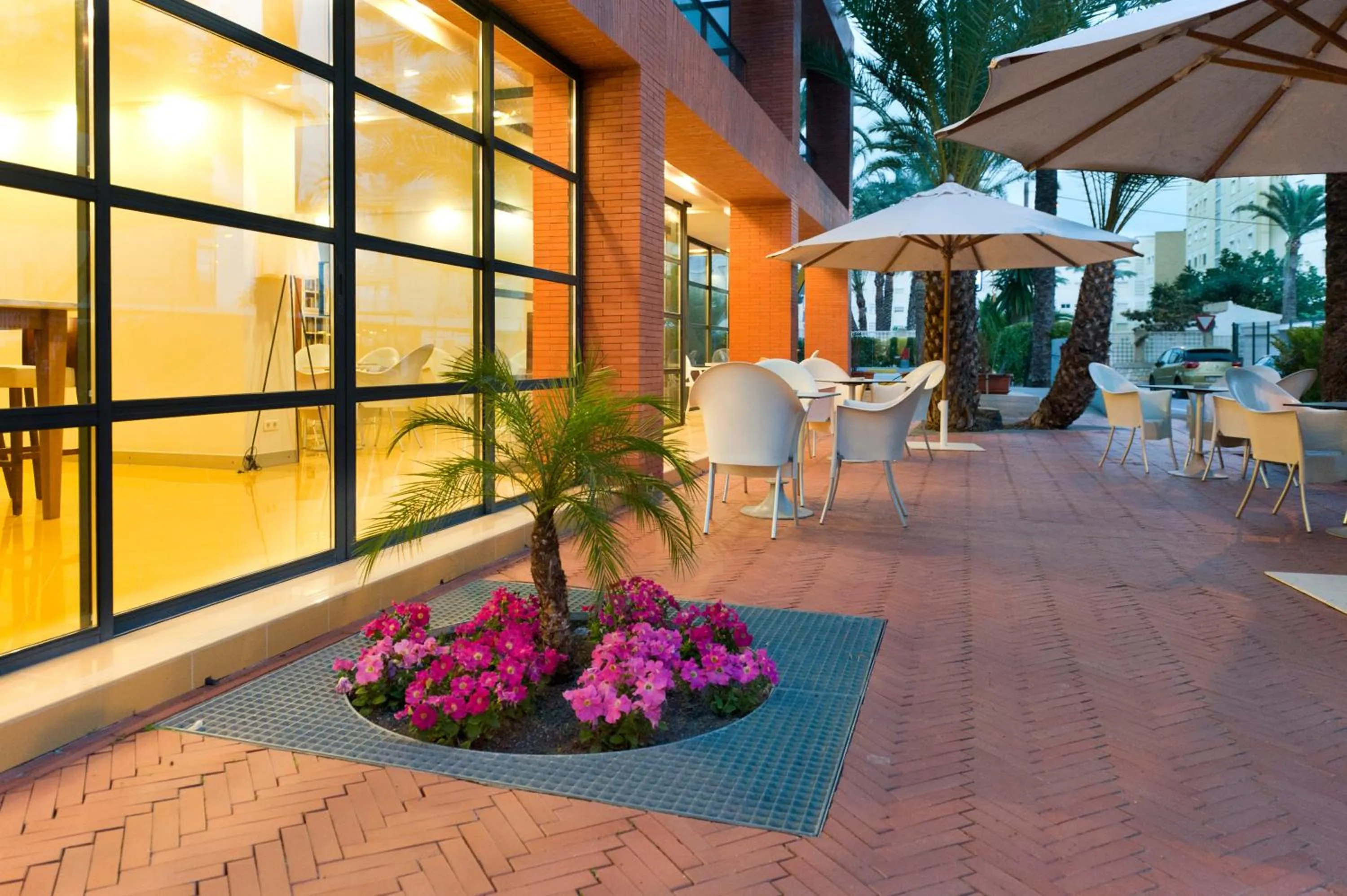 Facade/entrance in Hotel El Palmeral