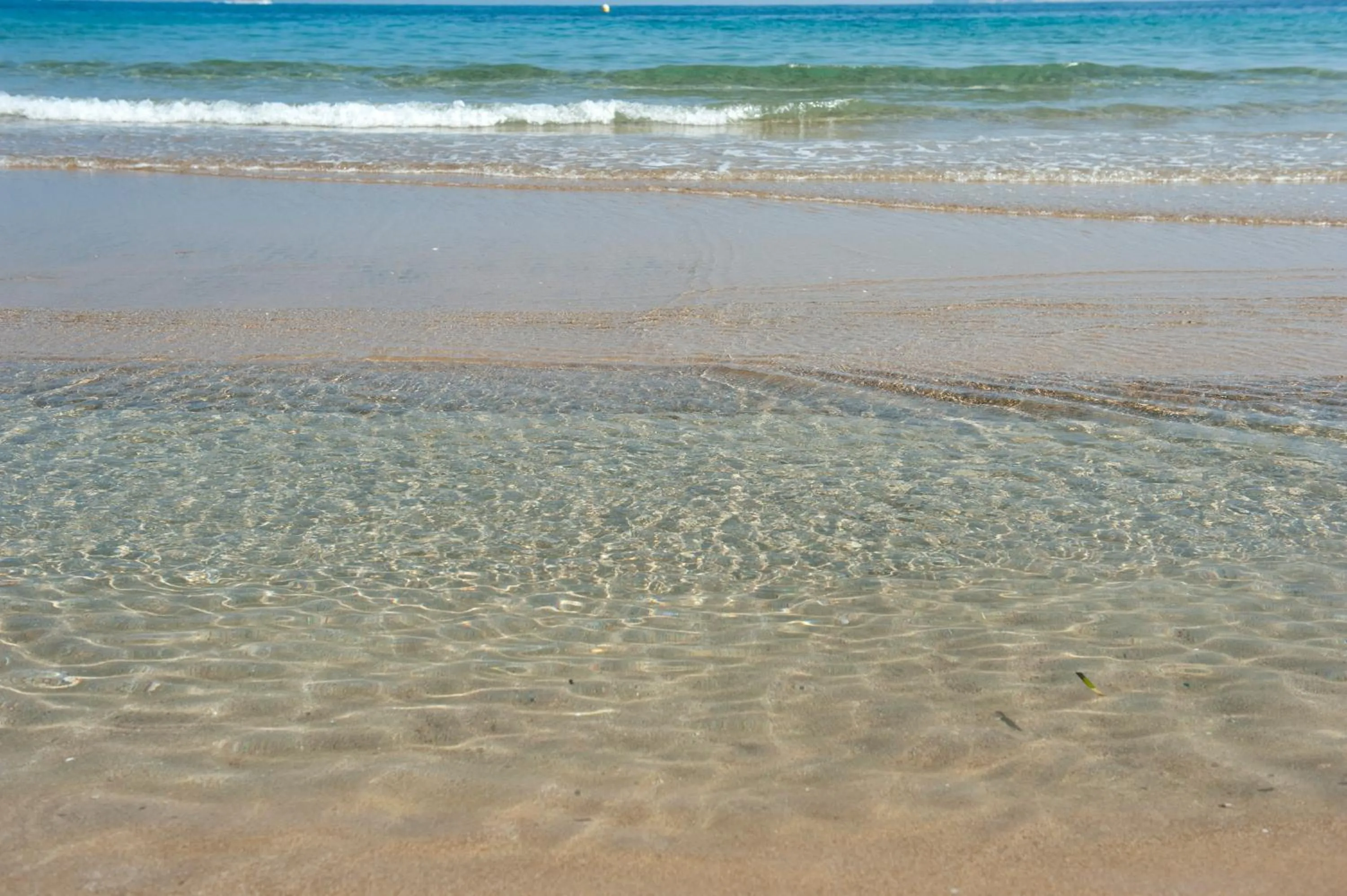 Area and facilities in Hotel El Palmeral