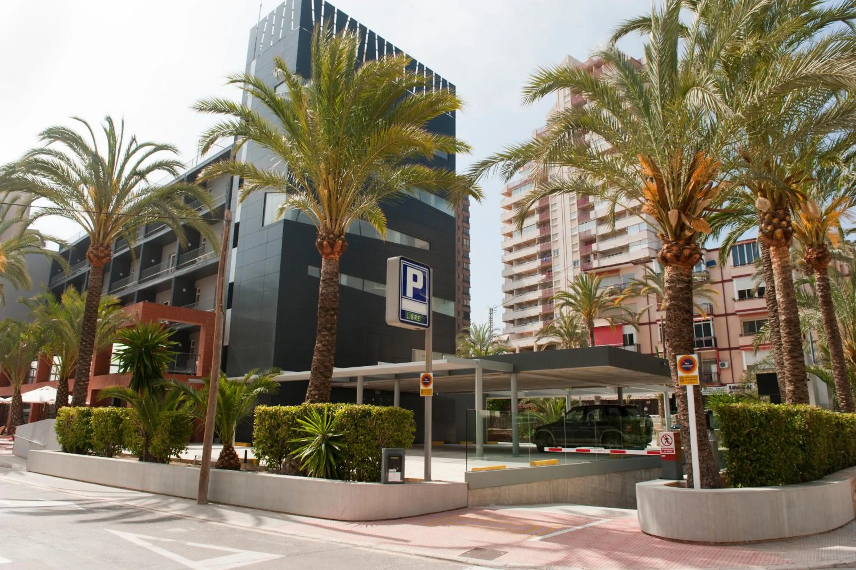 Facade/entrance in Hotel El Palmeral
