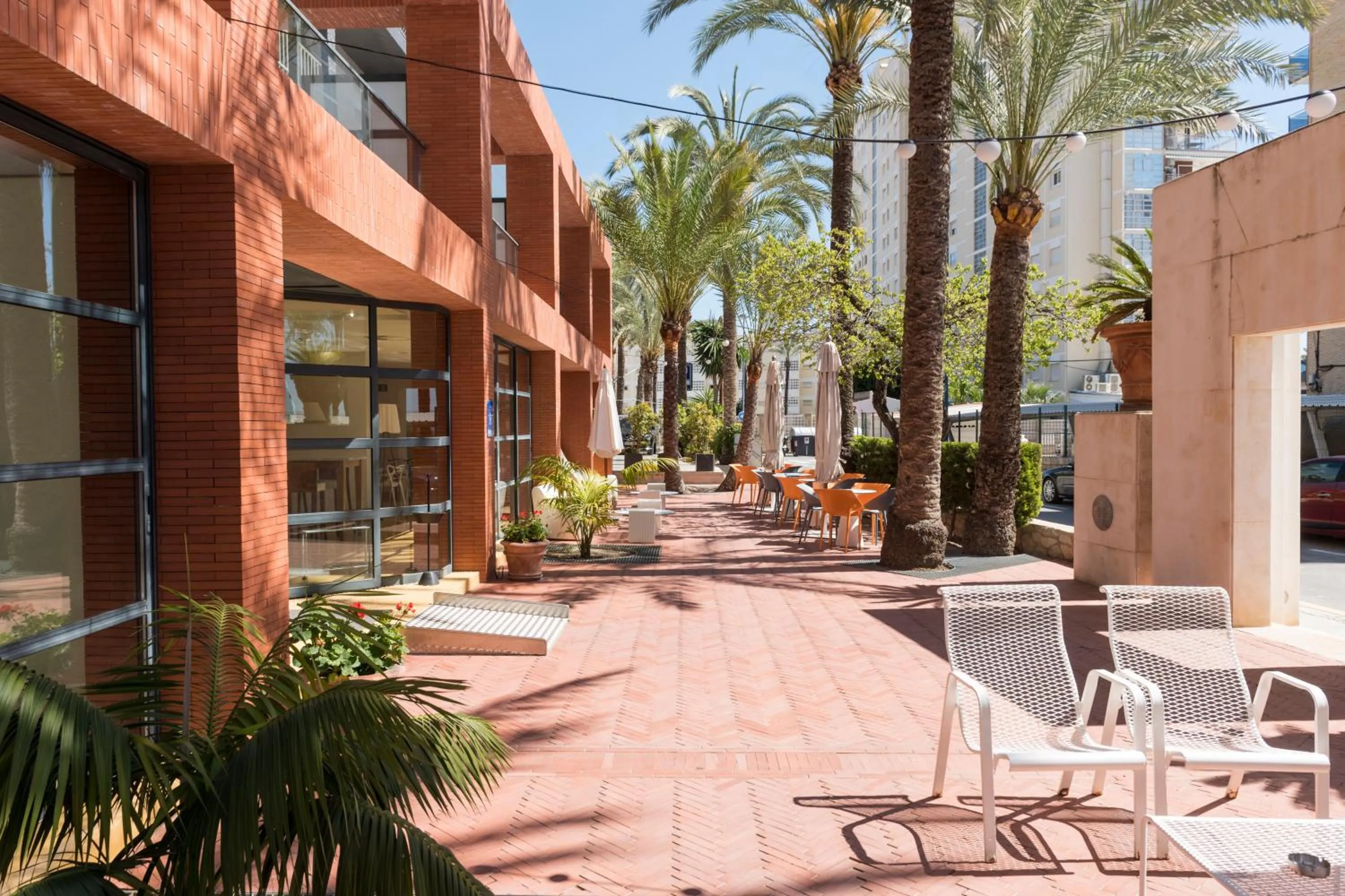 Garden in Hotel El Palmeral