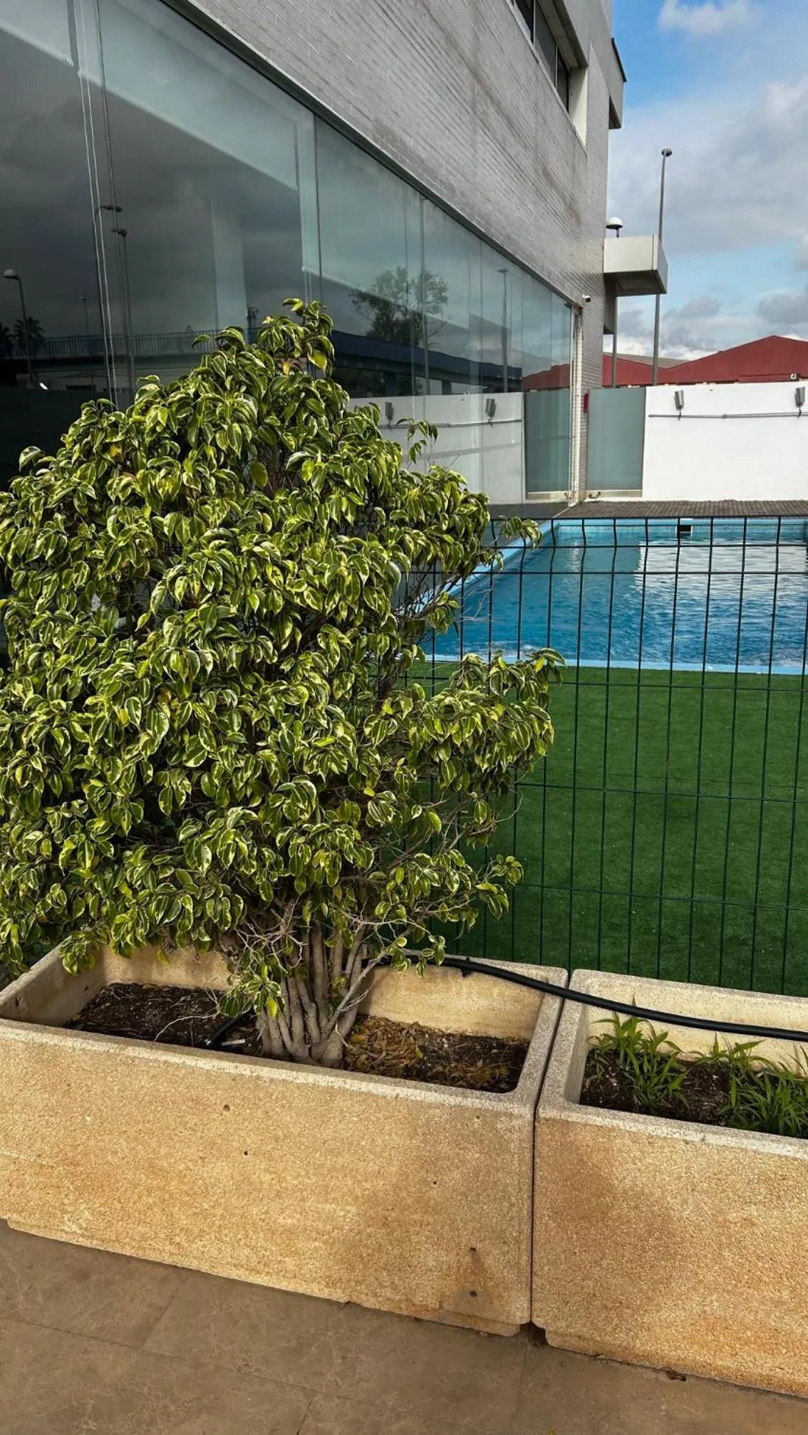 Swimming pool in Hotel Xon's Valencia