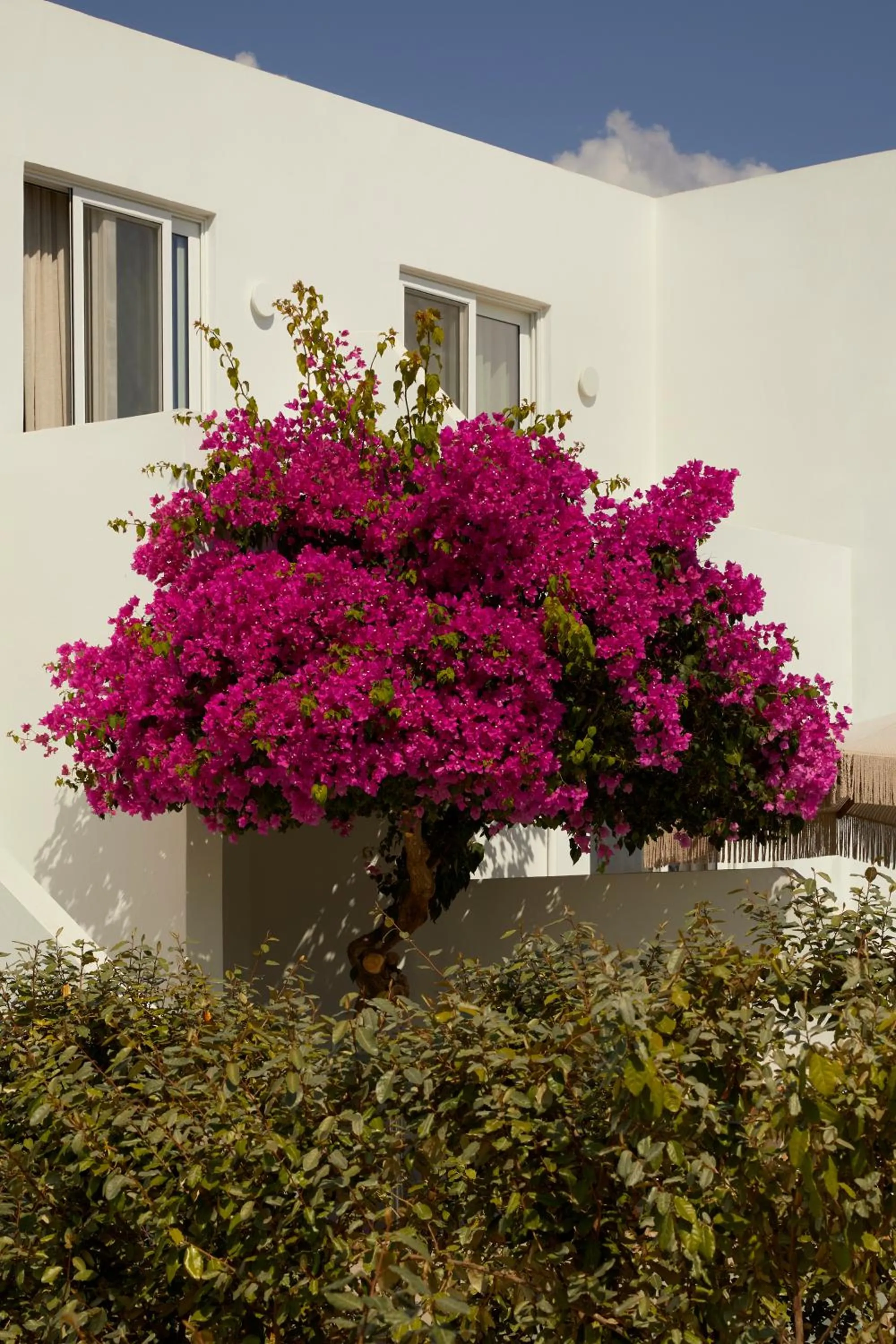 Absolute Kiotari Resort