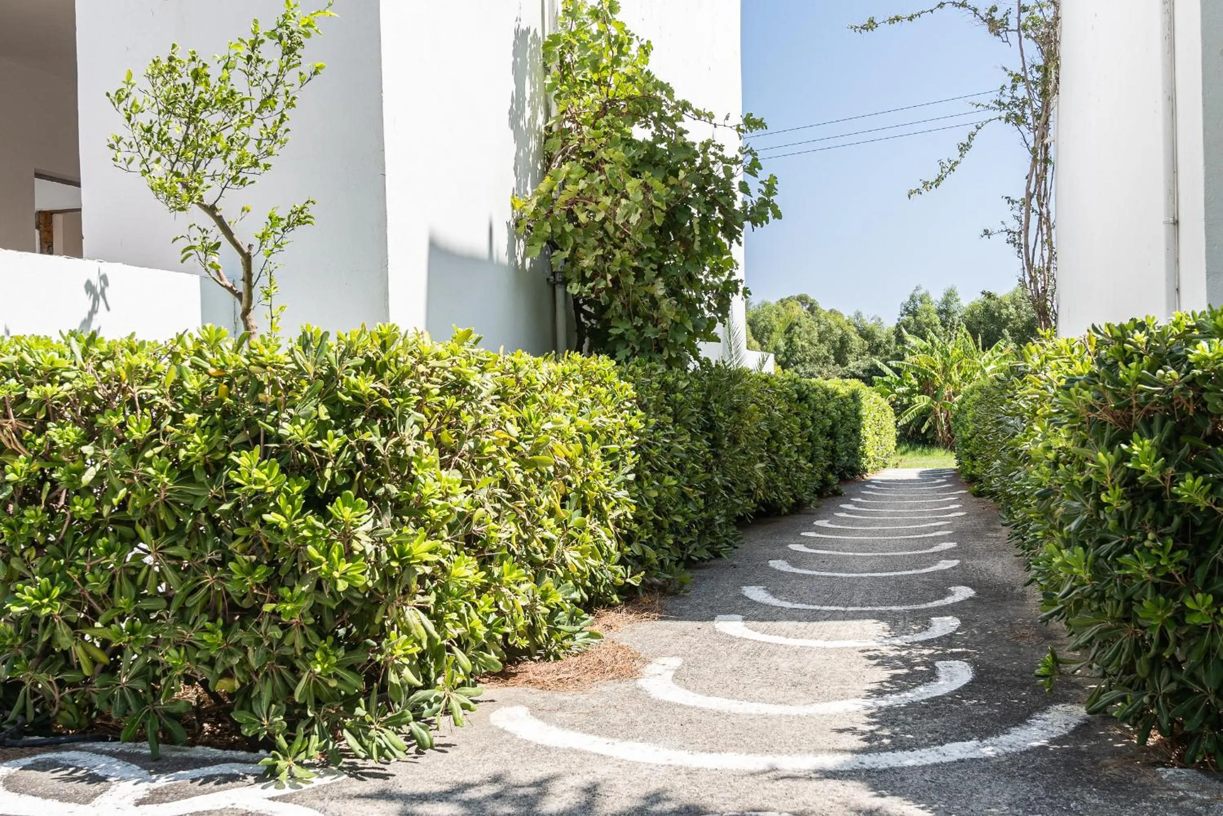 Garden in Absolute Kiotari Resort