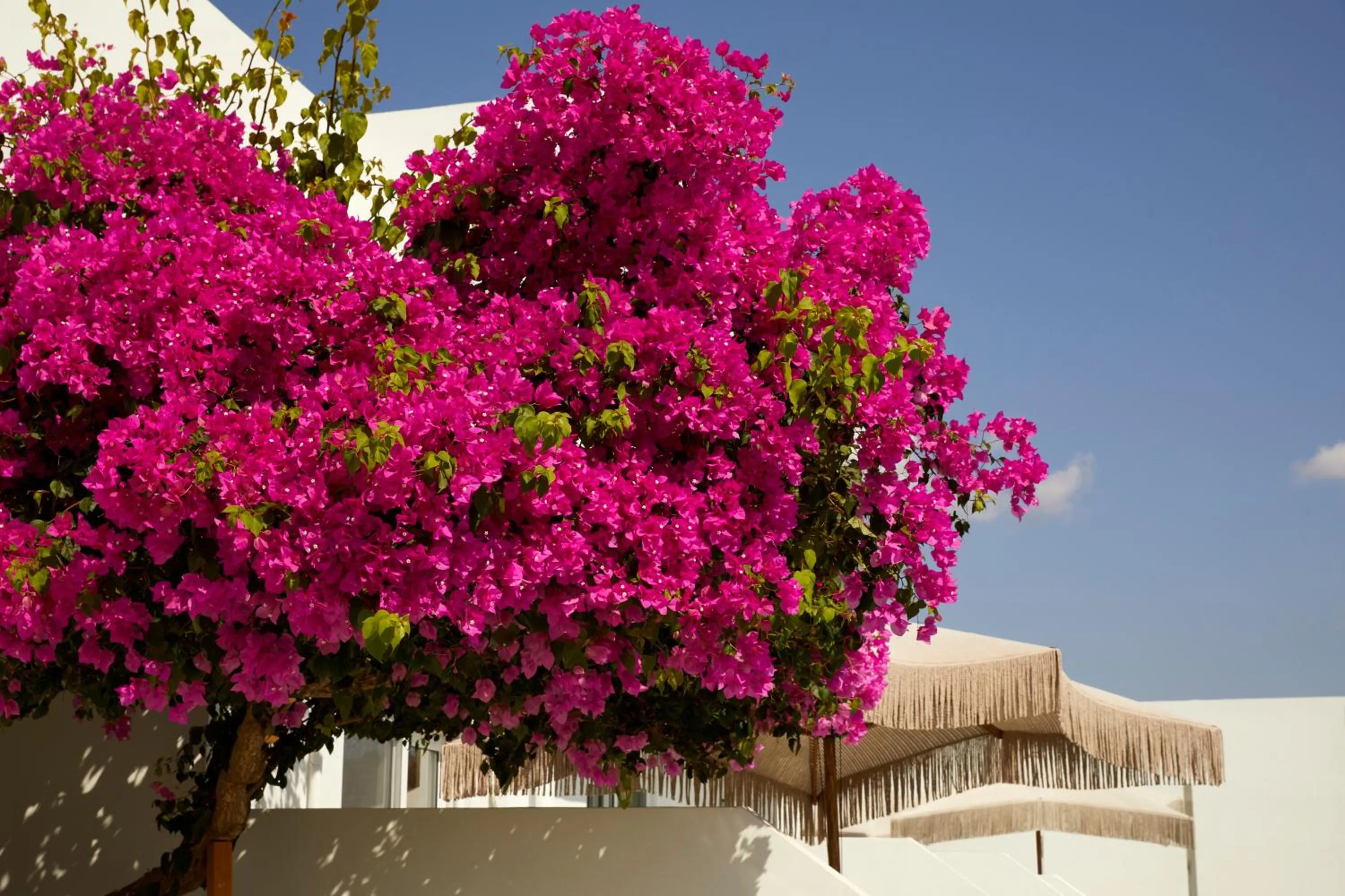 Absolute Kiotari Resort