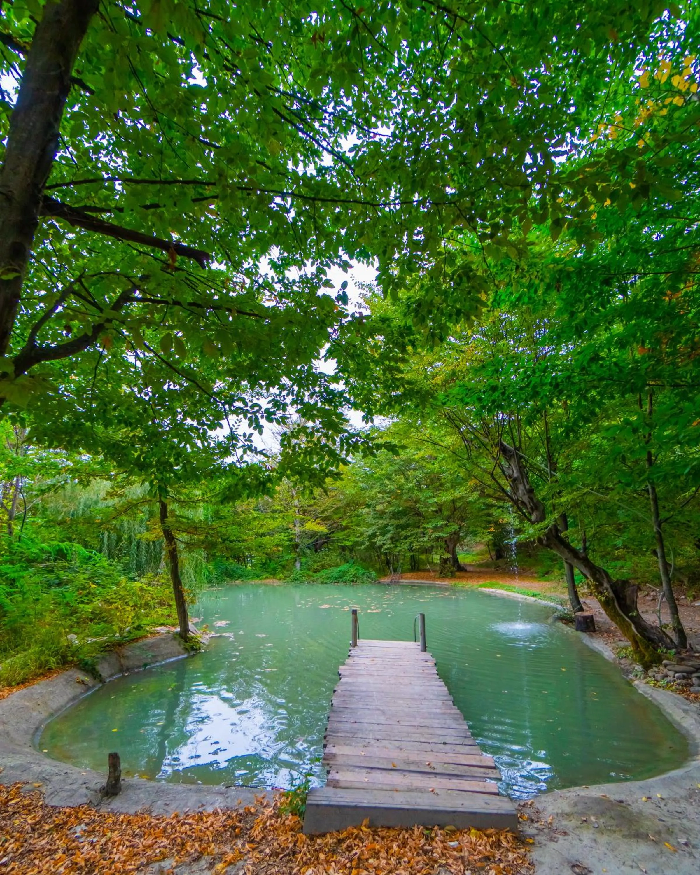 Garden in Ladera Resort Qusar