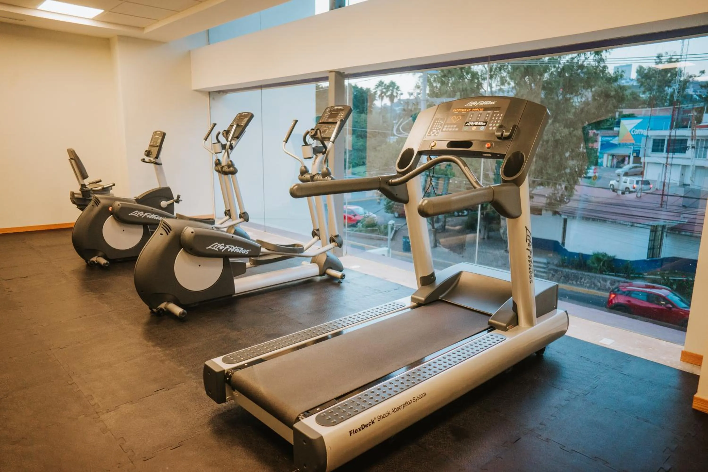 Fitness centre/facilities in Gran Hotel Concordia Irapuato