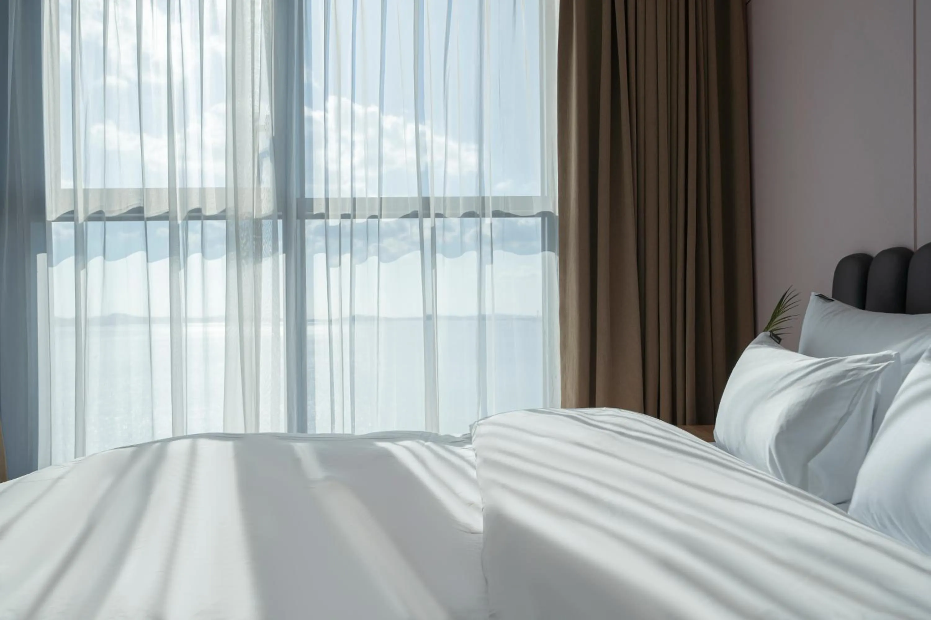 Natural landscape in Brown Dot Siheung Geobuksum