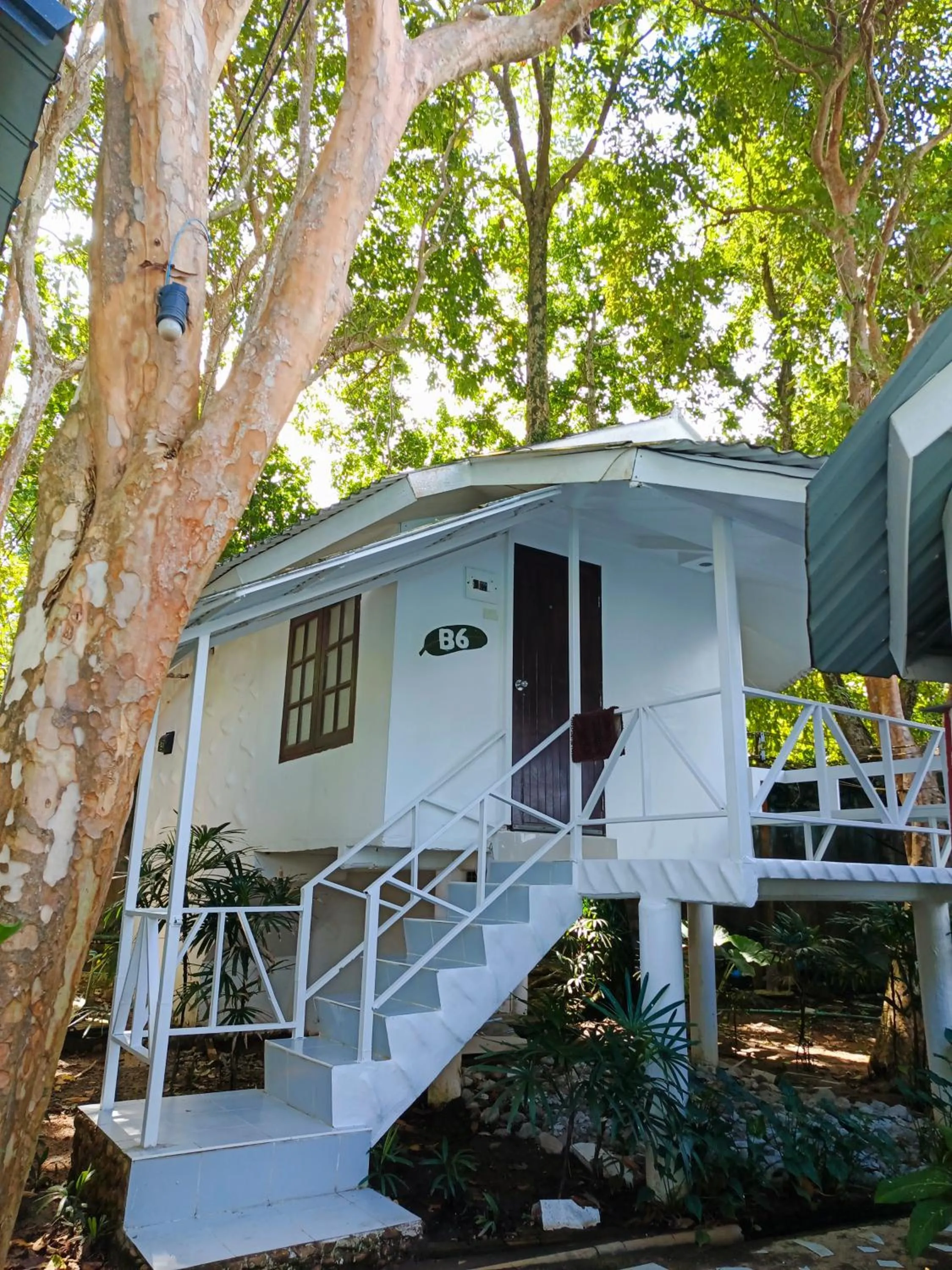 Property building in White house bailan resort