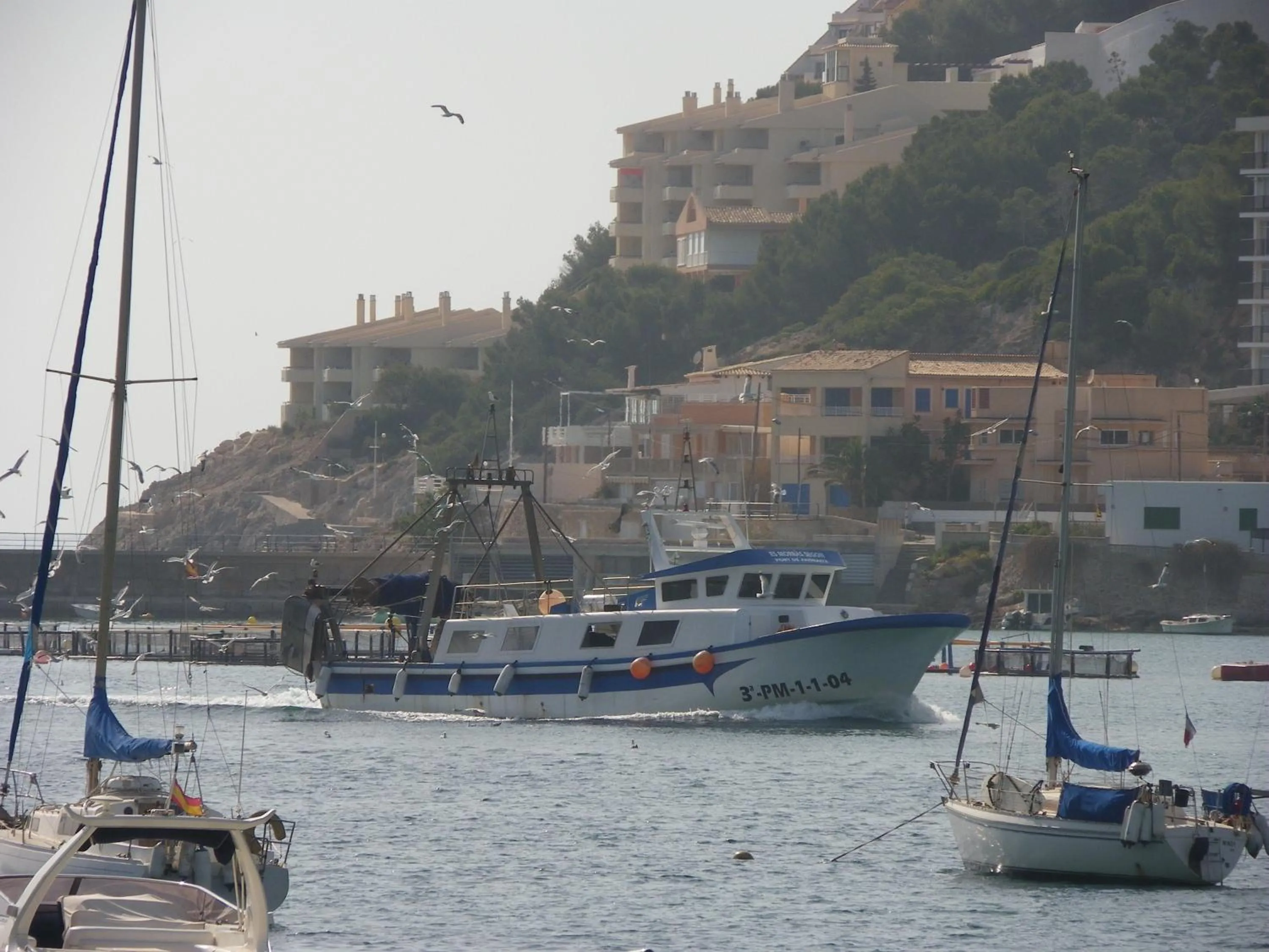 Area and facilities in Hotel Brismar