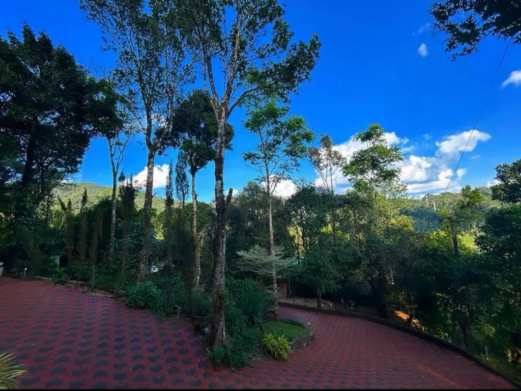 Jungle Hill Resort Coorg