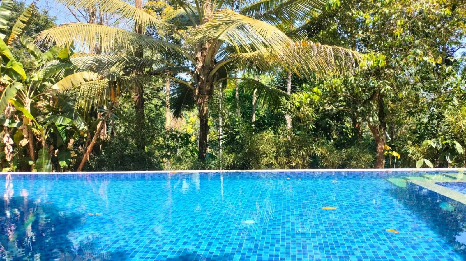 Jungle Hill Resort Coorg