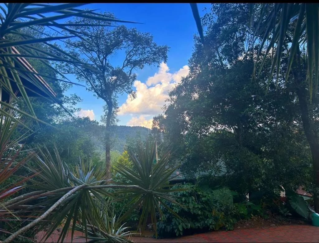 Jungle Hill Resort Coorg